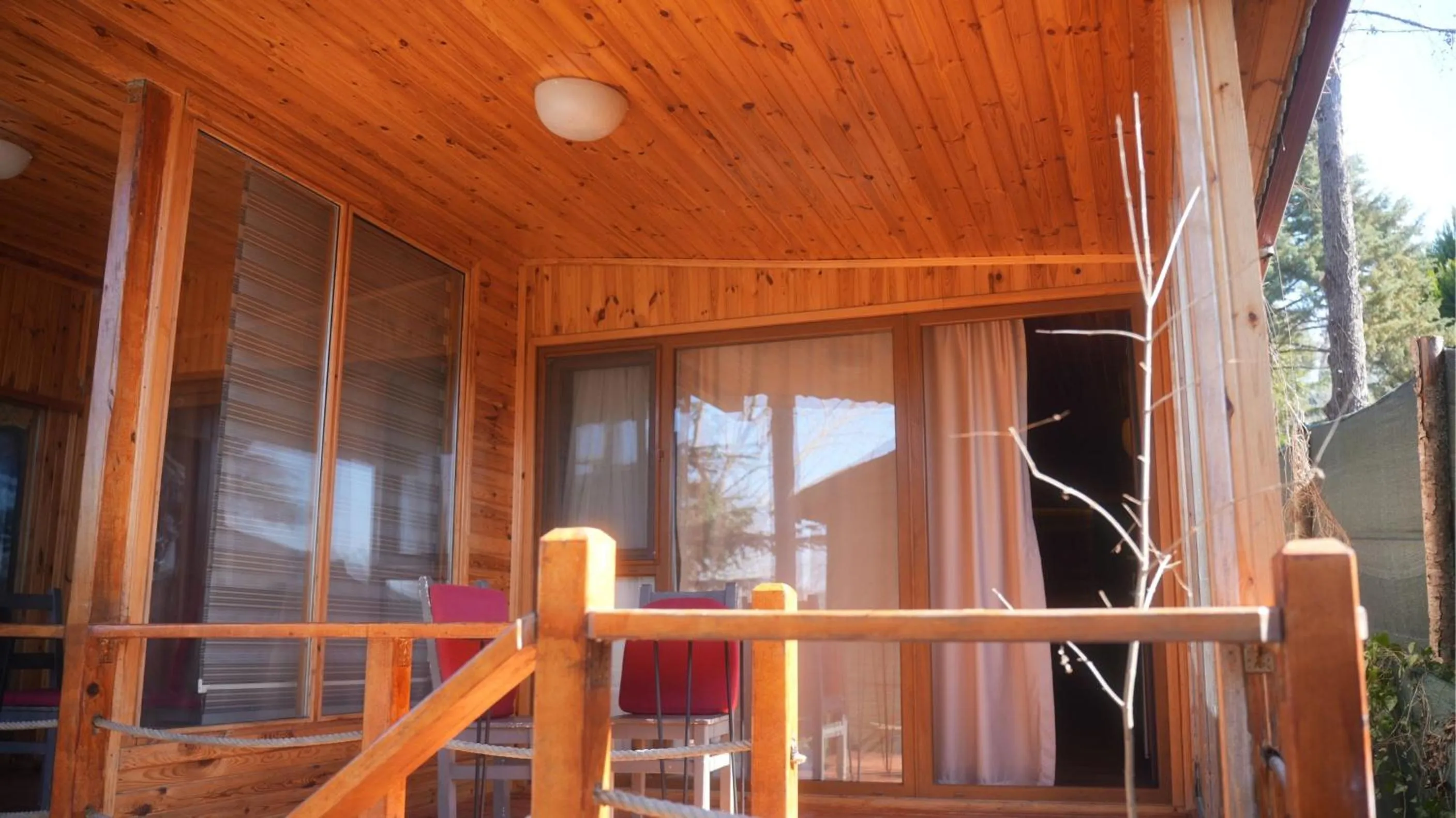 Patio in Treetops Park Hotel