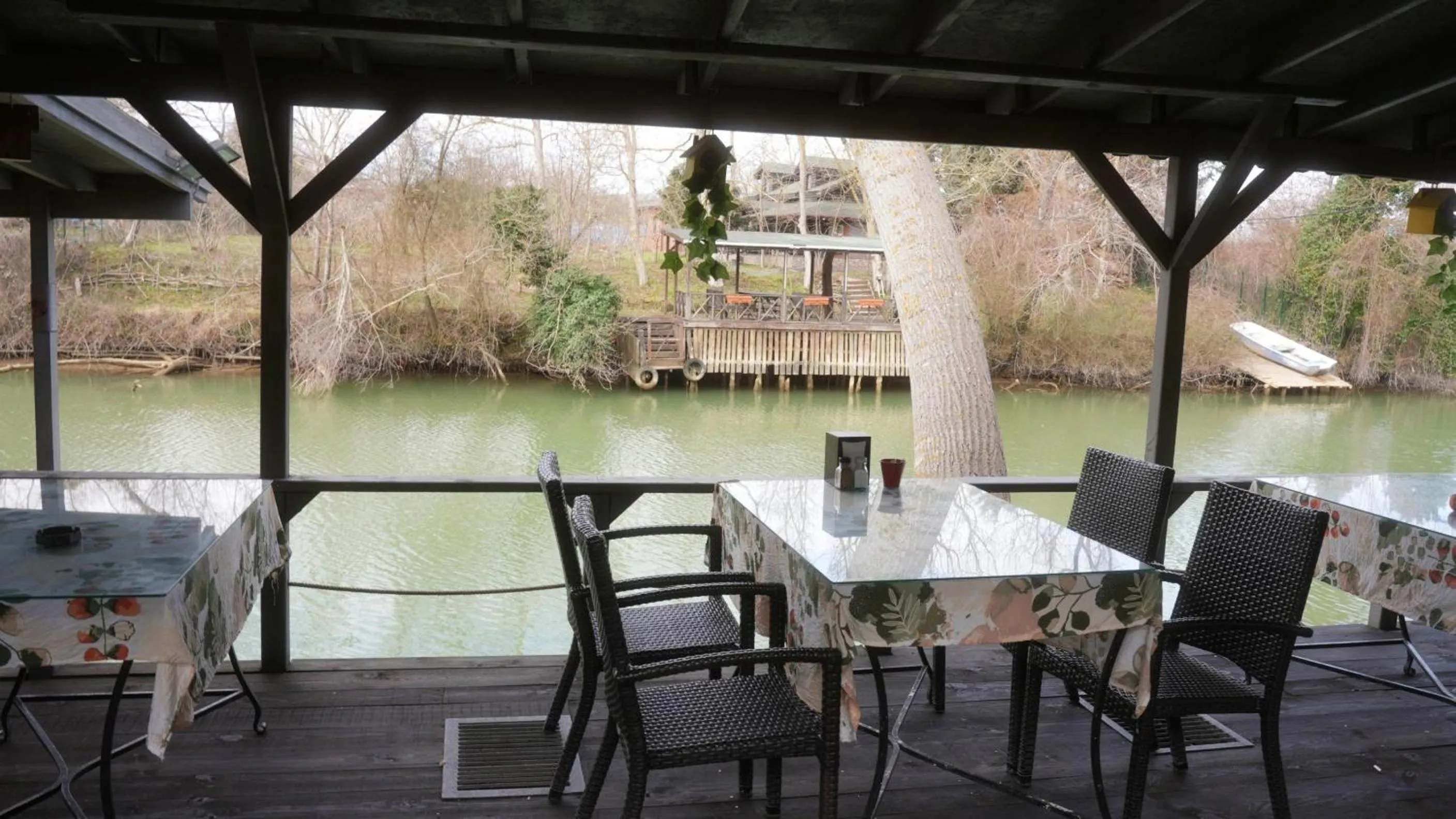 View (from property/room) in Treetops Park Hotel