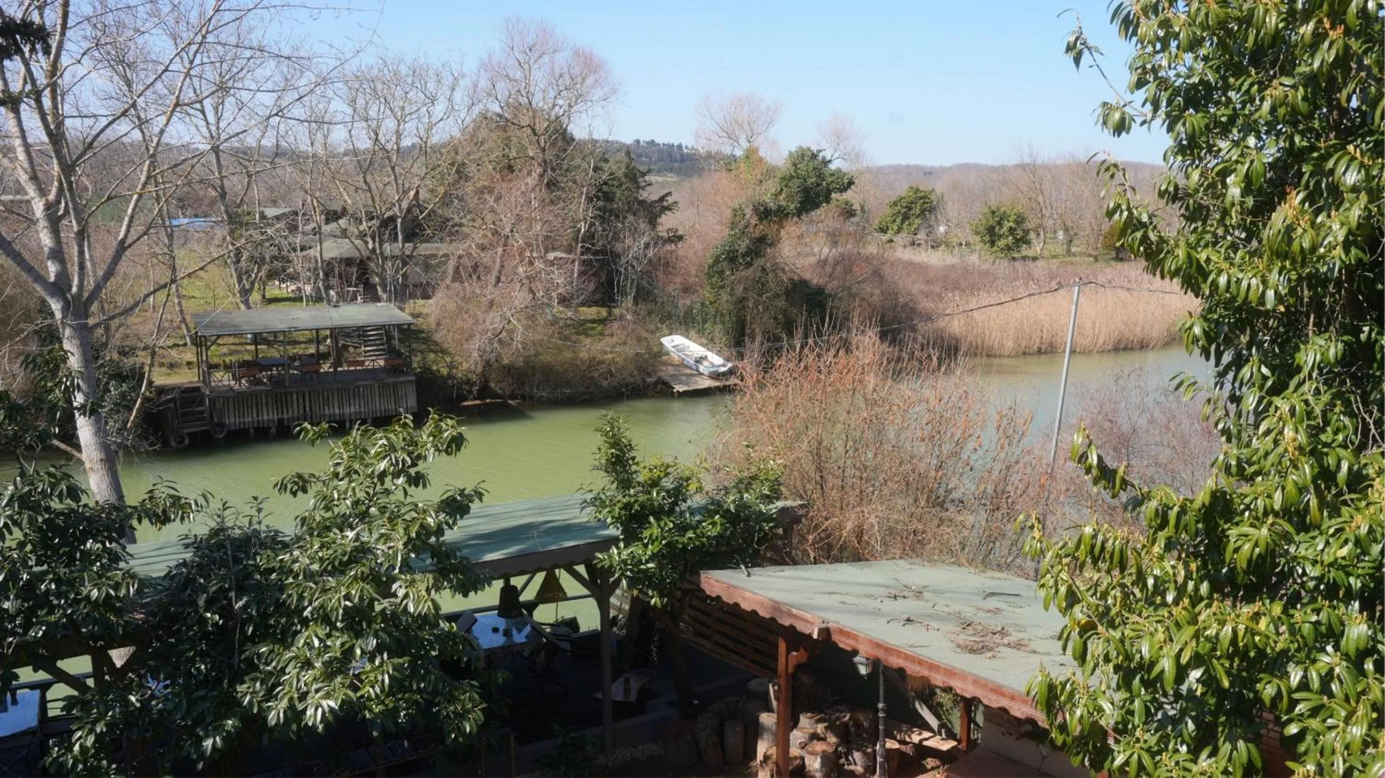 River view in Treetops Park Hotel