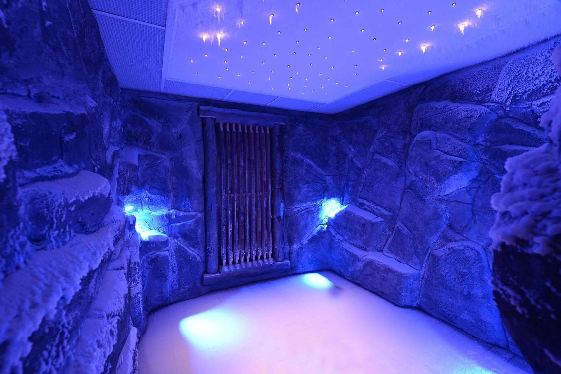 Spa and wellness centre/facilities in Hotel am Badersee