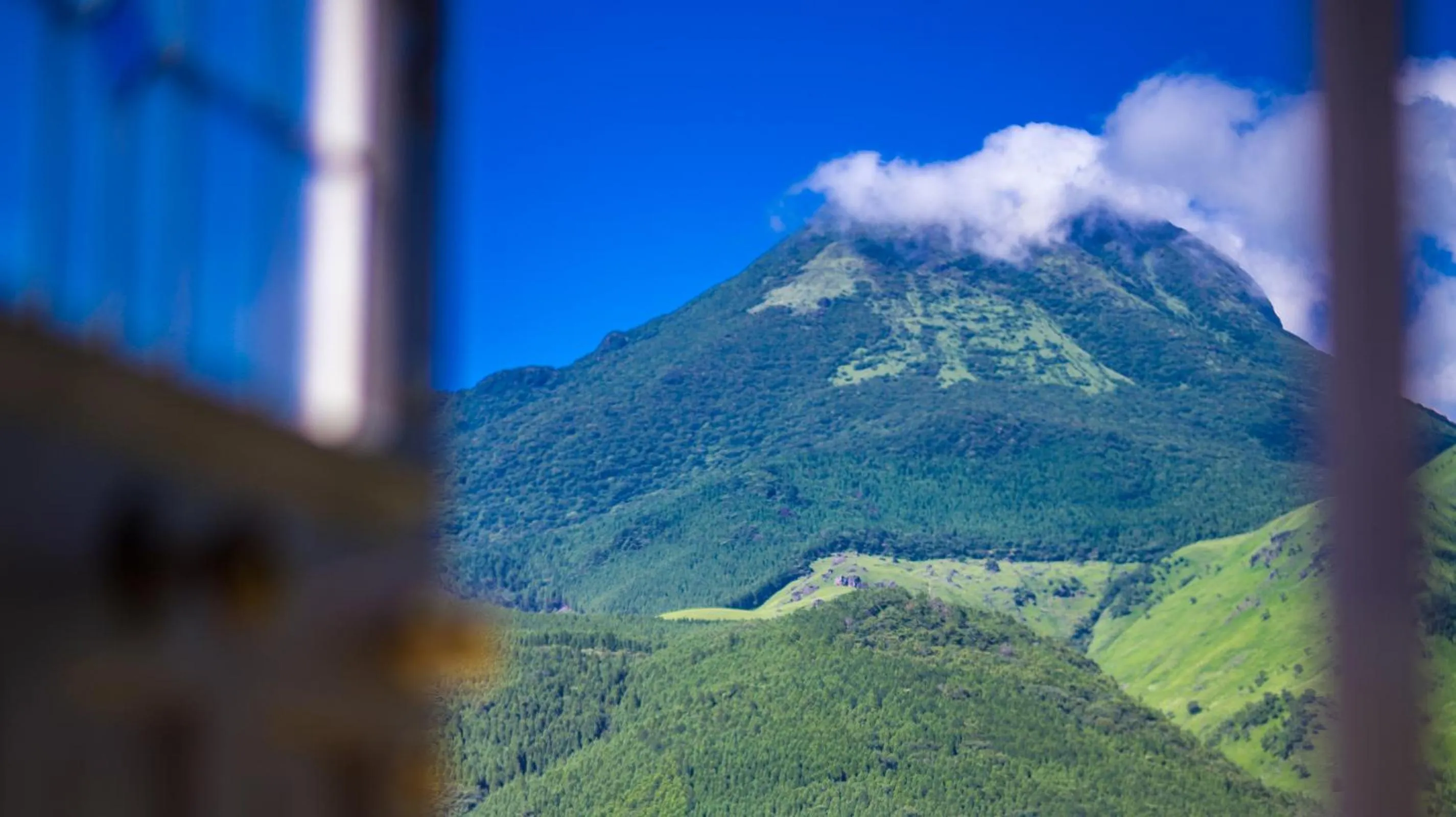 Nearby landmark in Saigakukan