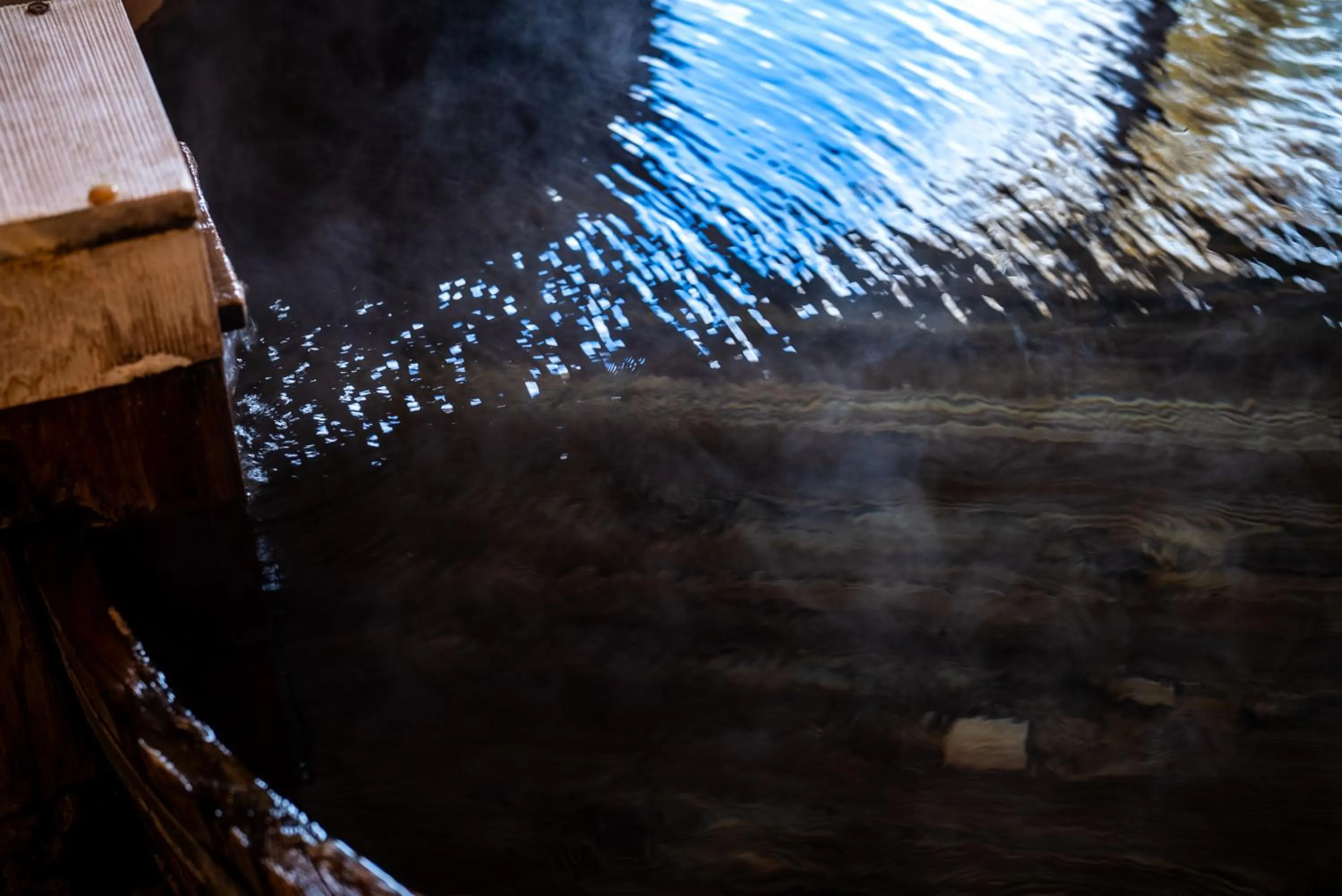 Hot Spring Bath in Saigakukan