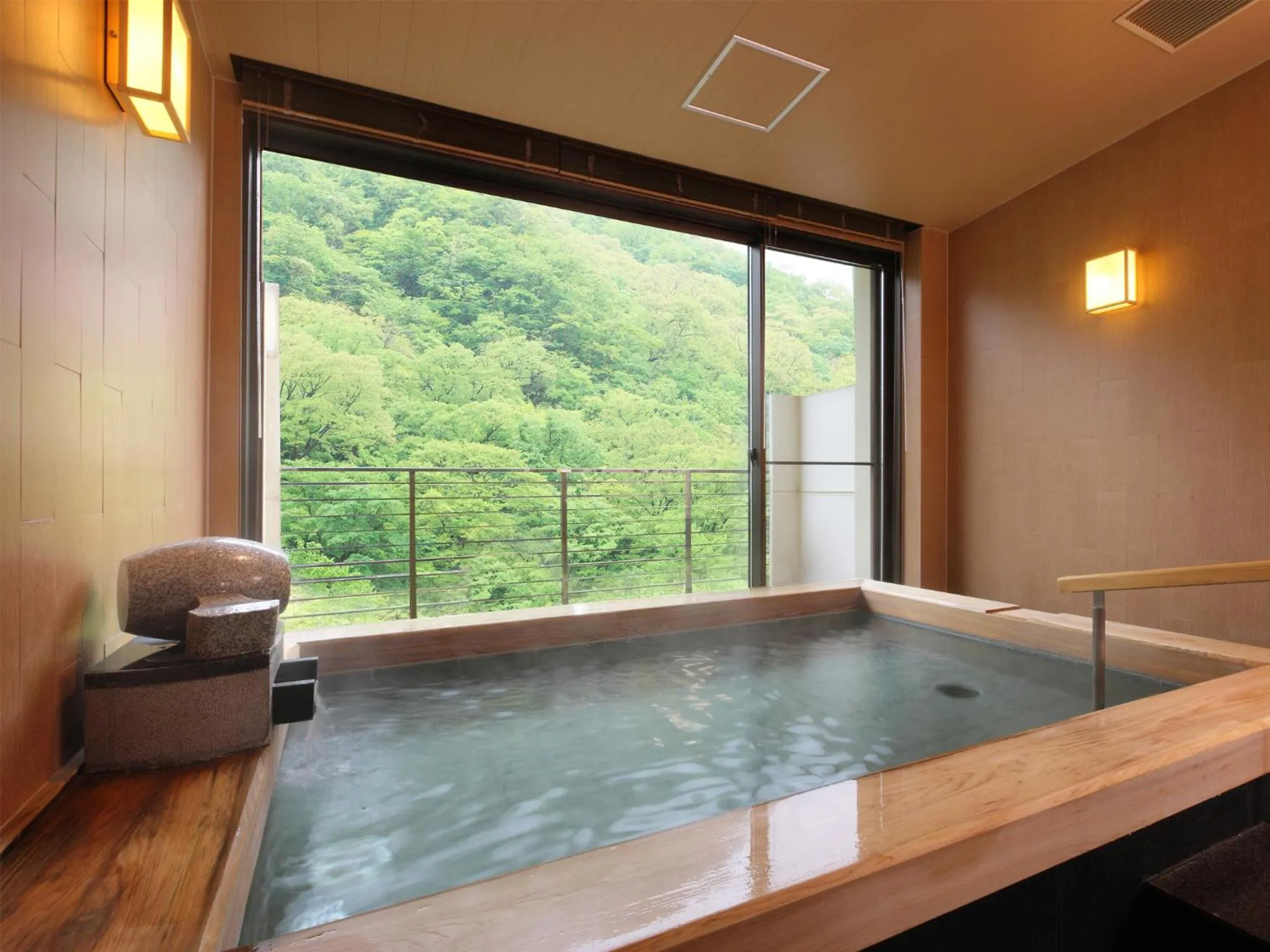 Hot Spring Bath in Asaya