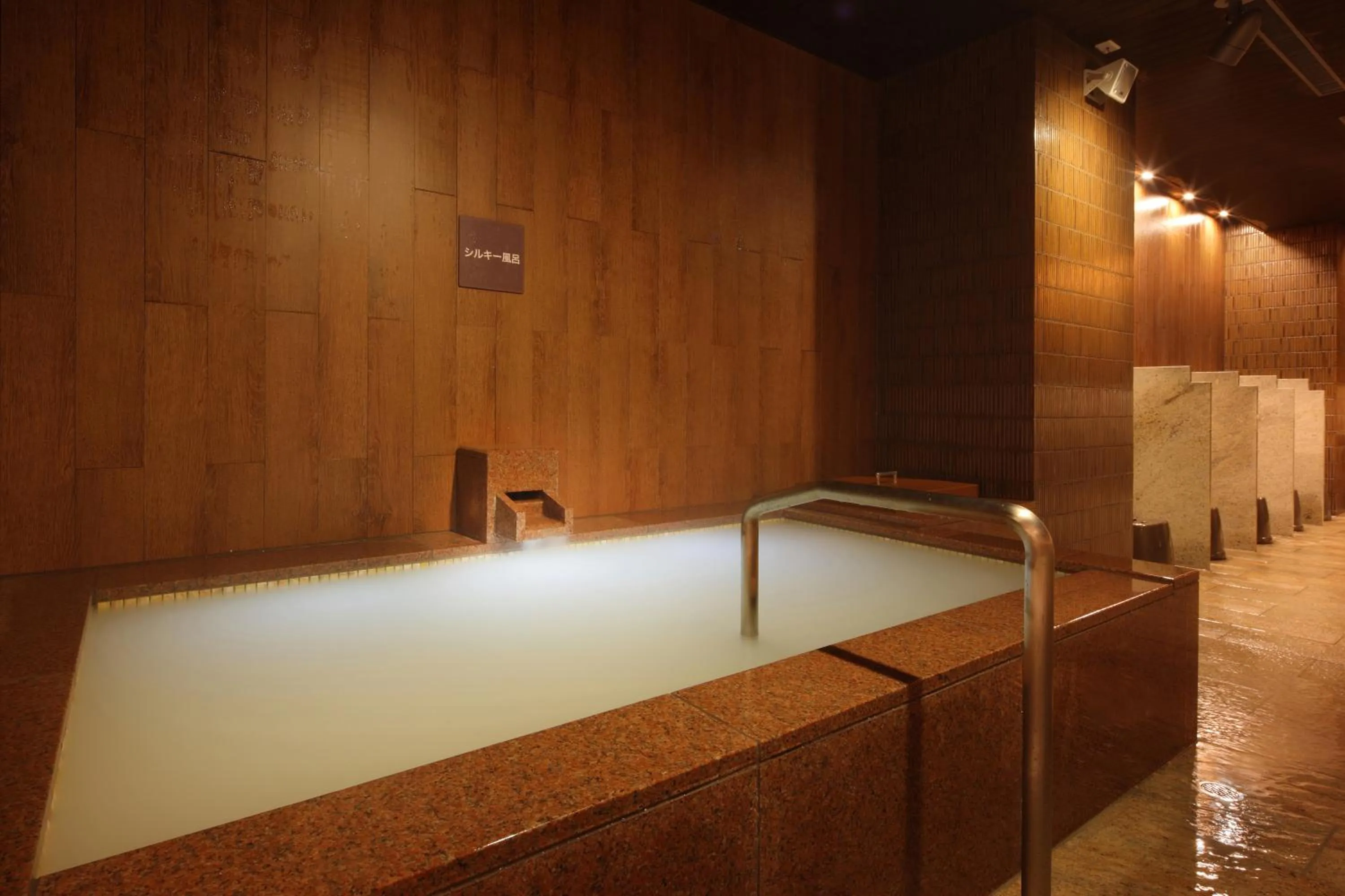 Hot Spring Bath in Asaya