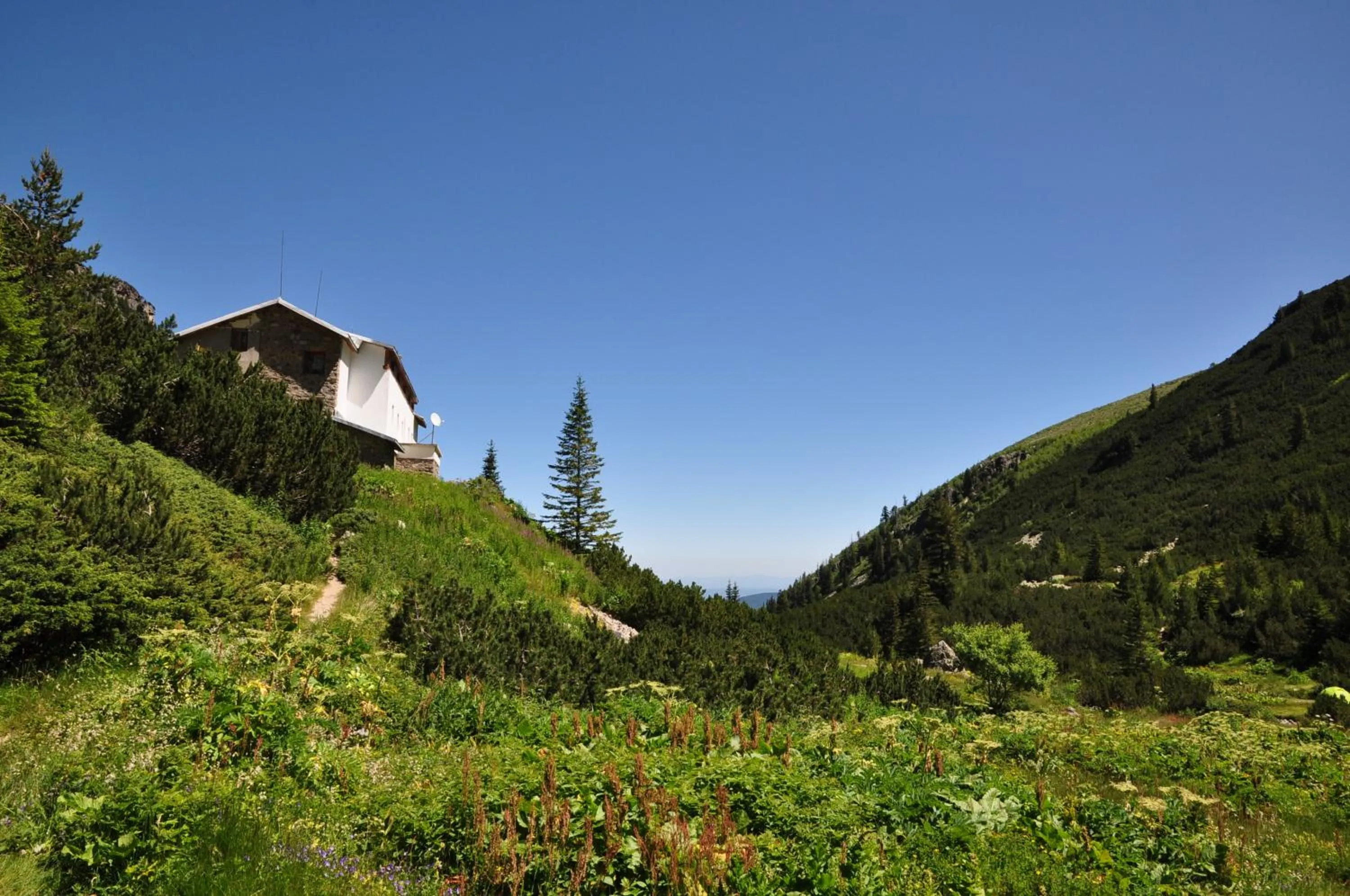 Nearby landmark in Hotel Malyovitsa