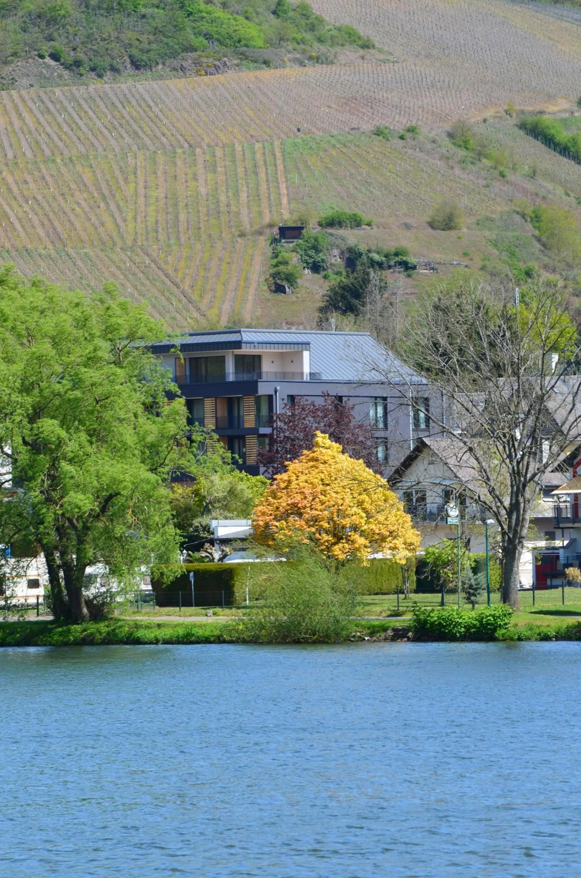 Property building in Boutique Hotel Moselgarten