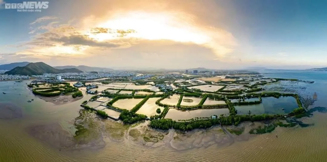 NHATUIshare Quy Nhơn