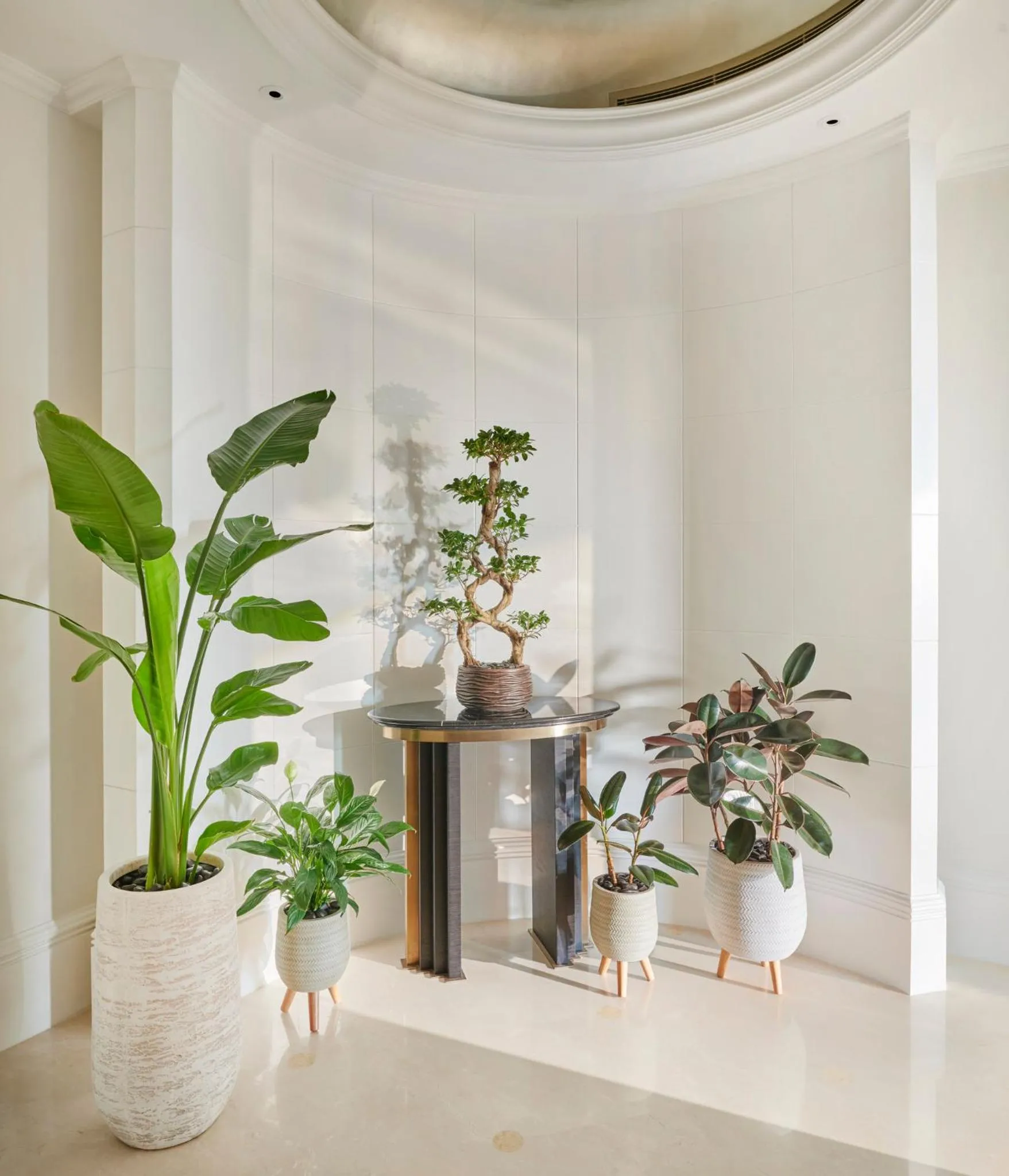 Garden in Emirates Palace Mandarin Oriental, Abu Dhabi