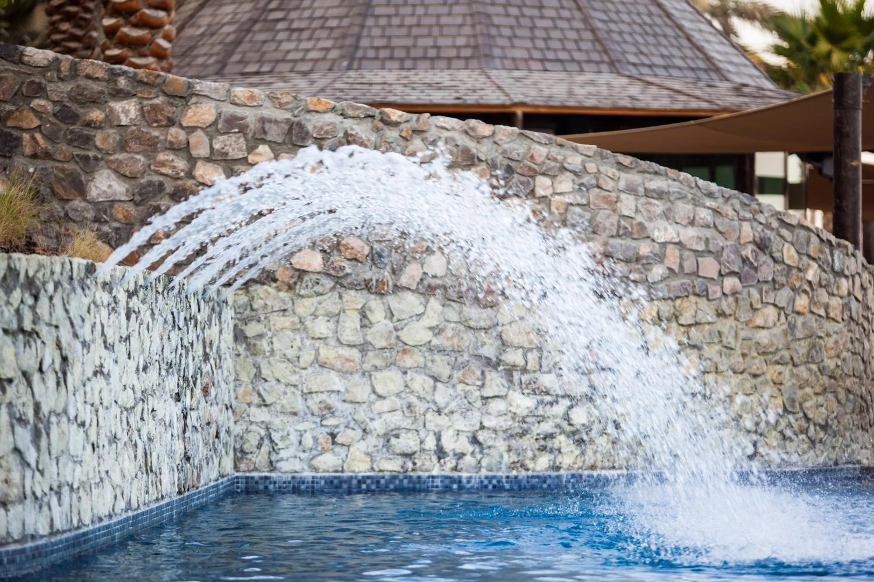 Swimming pool in JA Palm Tree Court, Dubai