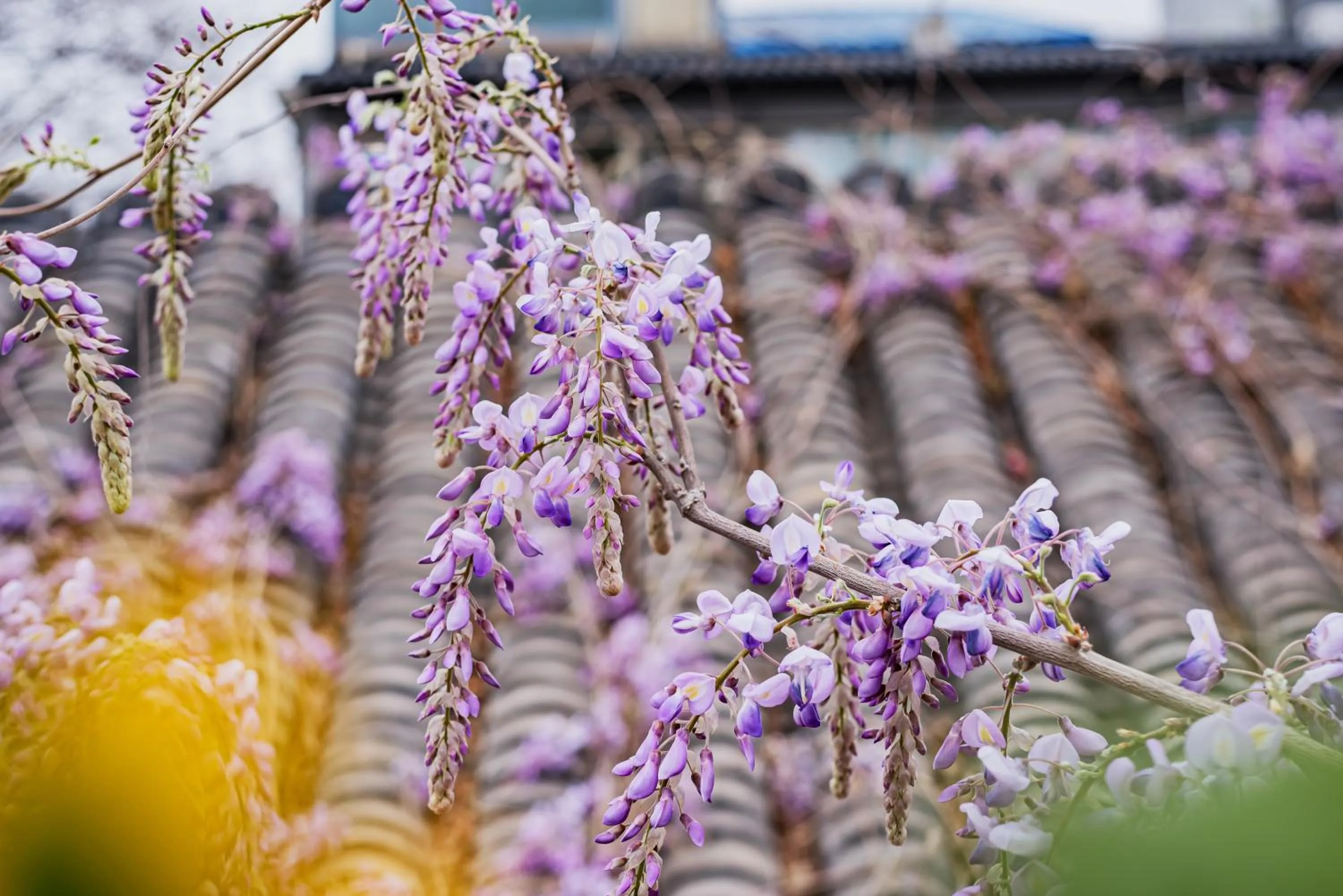 Property building in Templeside Beijing