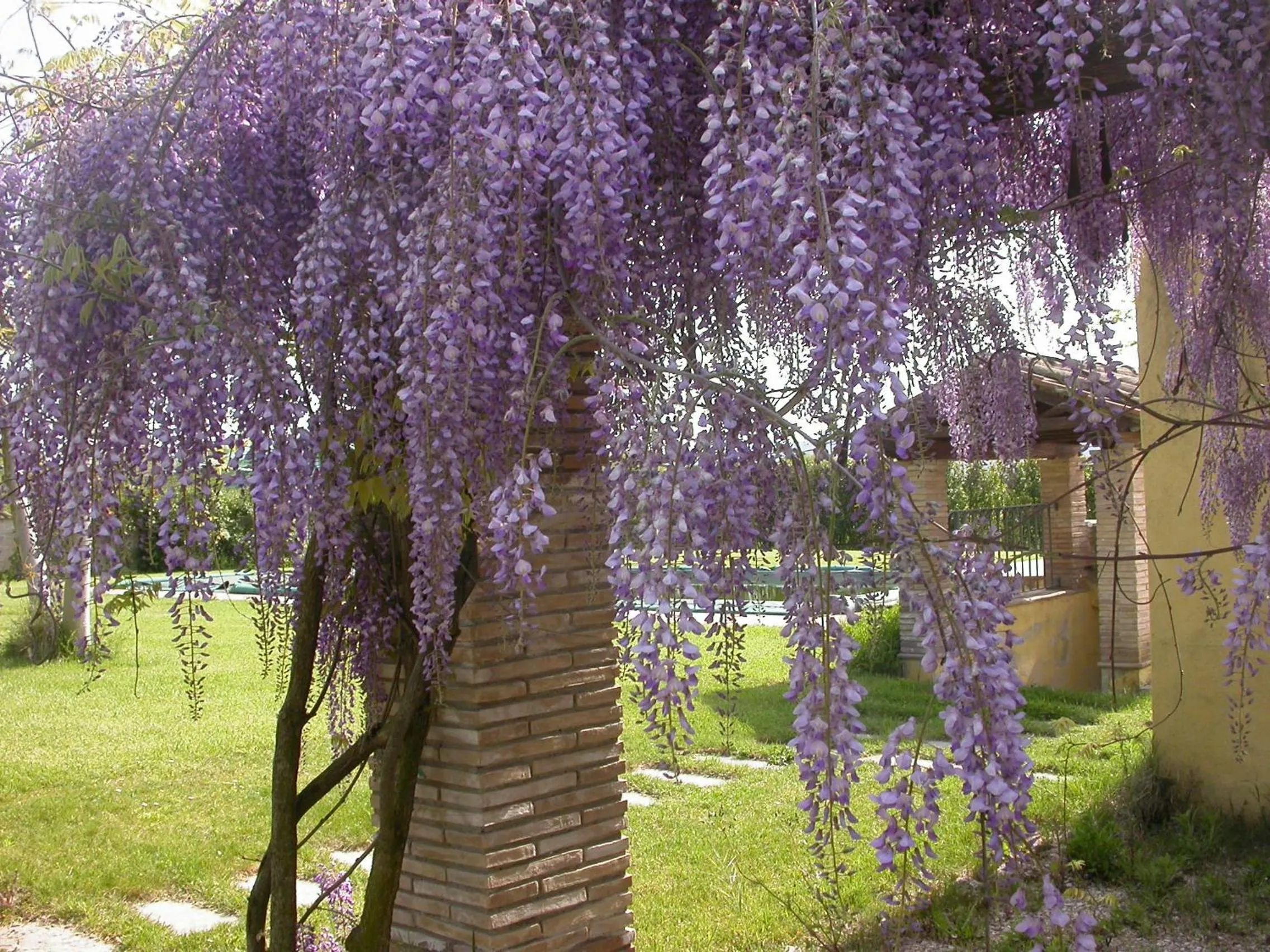 Casavacanze Sant'Eugenia