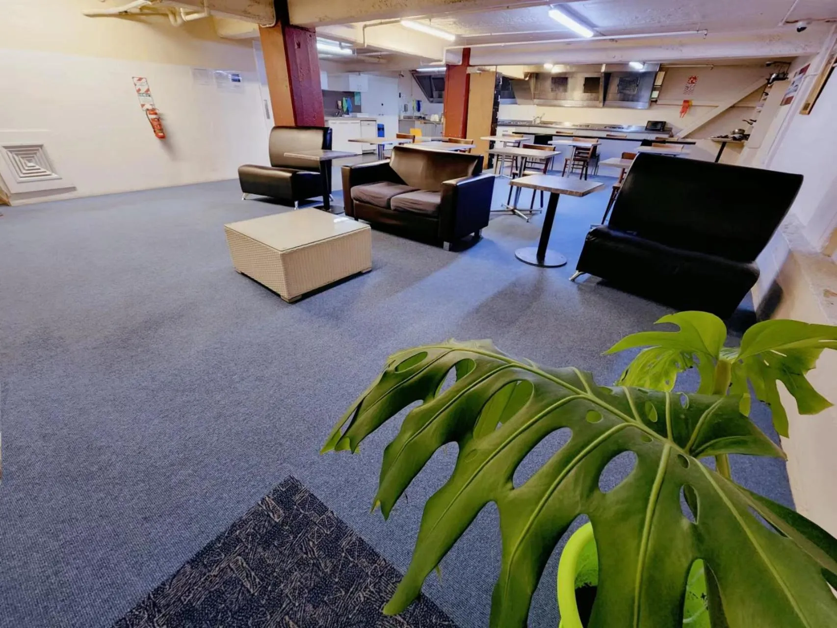 kitchen in Oceanic Hostel