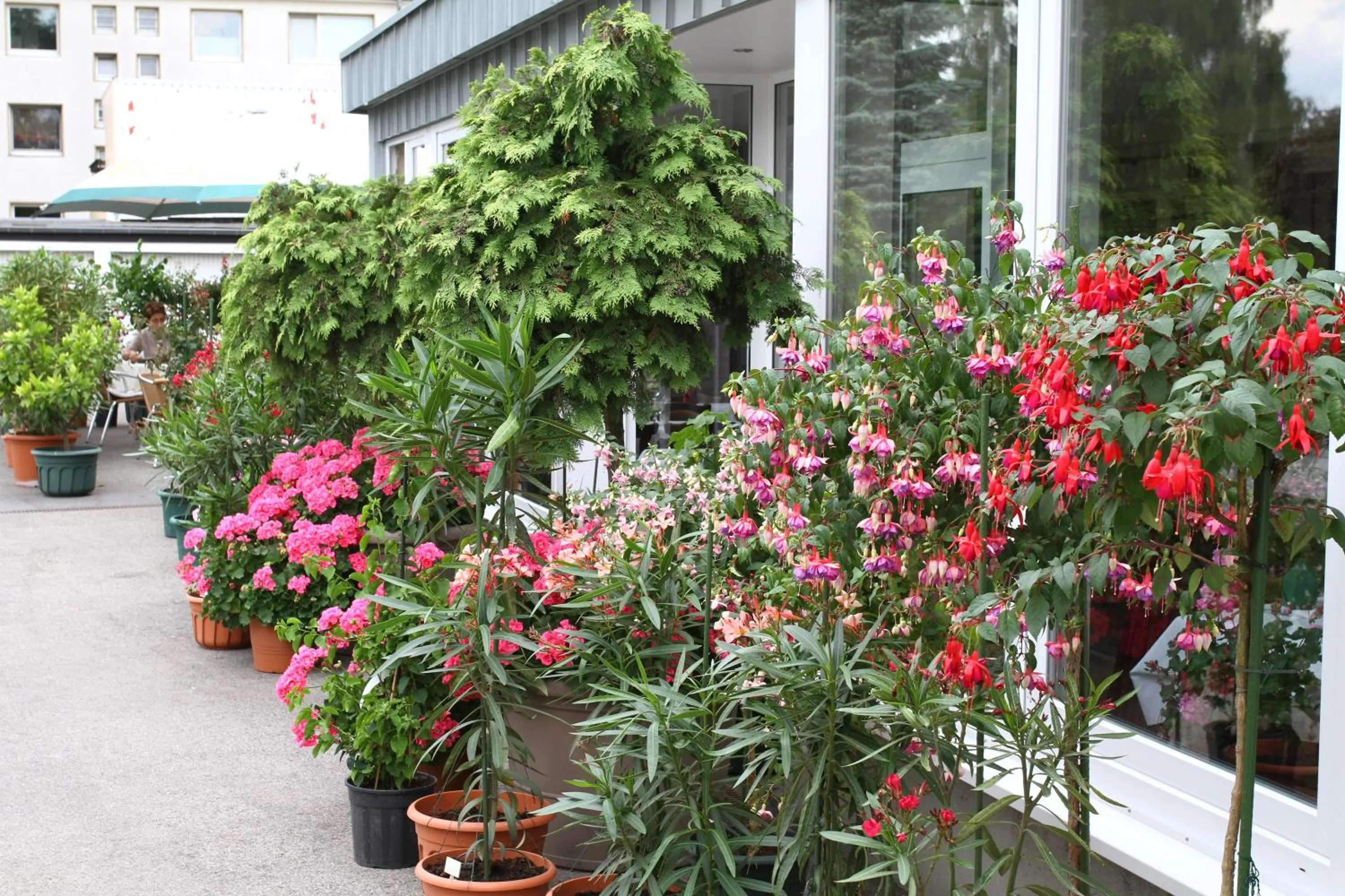 Facade/entrance in Hotel Mennicken