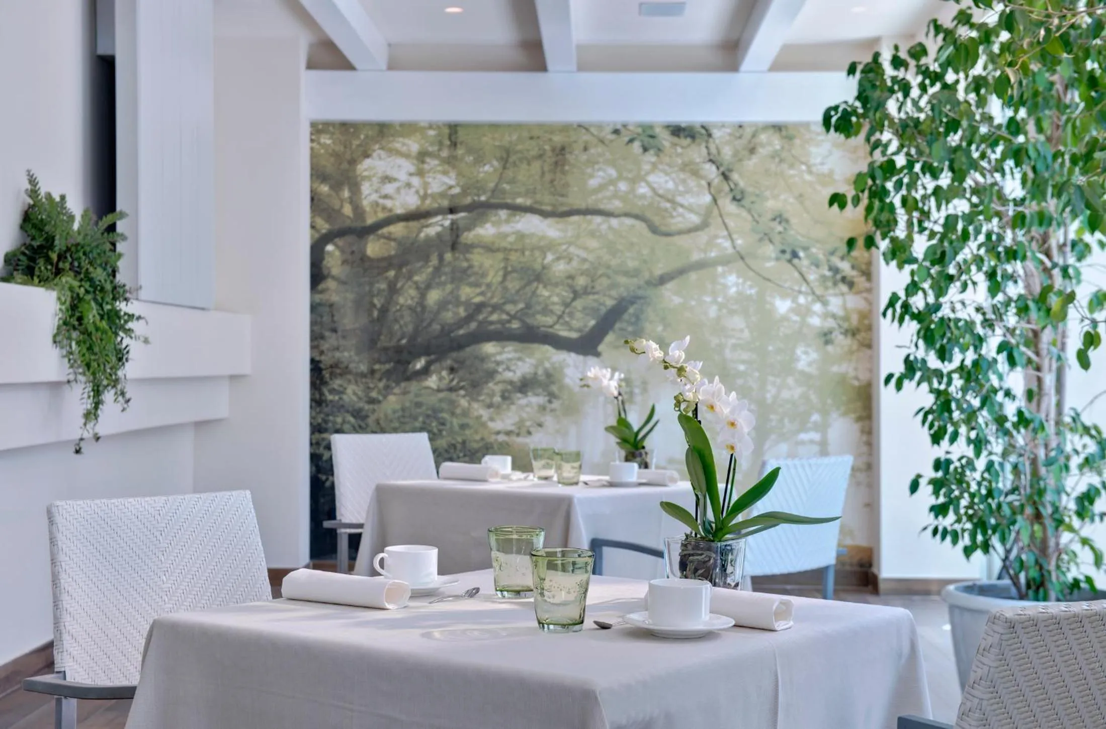 Breakfast in Terme Europa