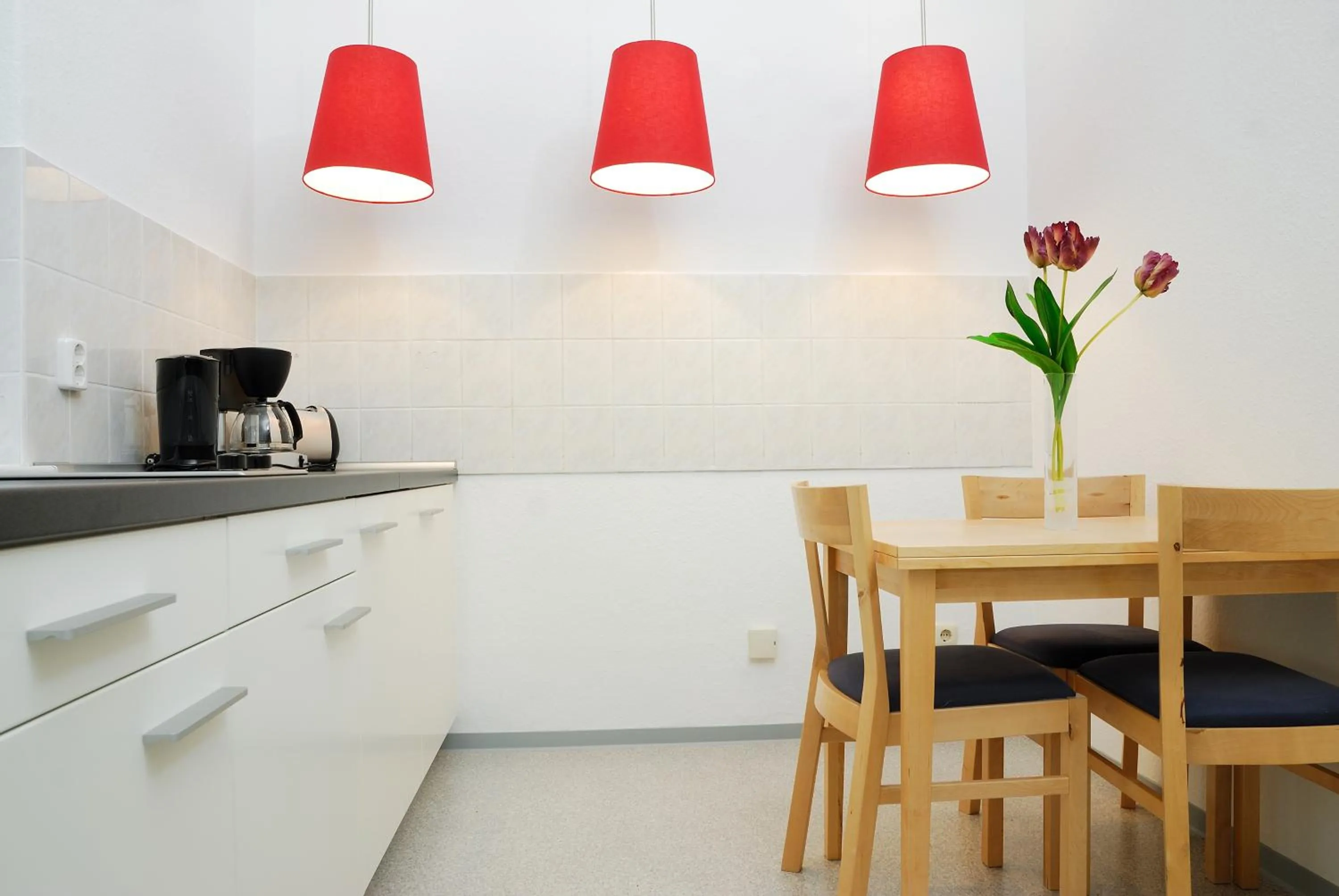 Kitchen or kitchenette in Aparthotel am Zwinger