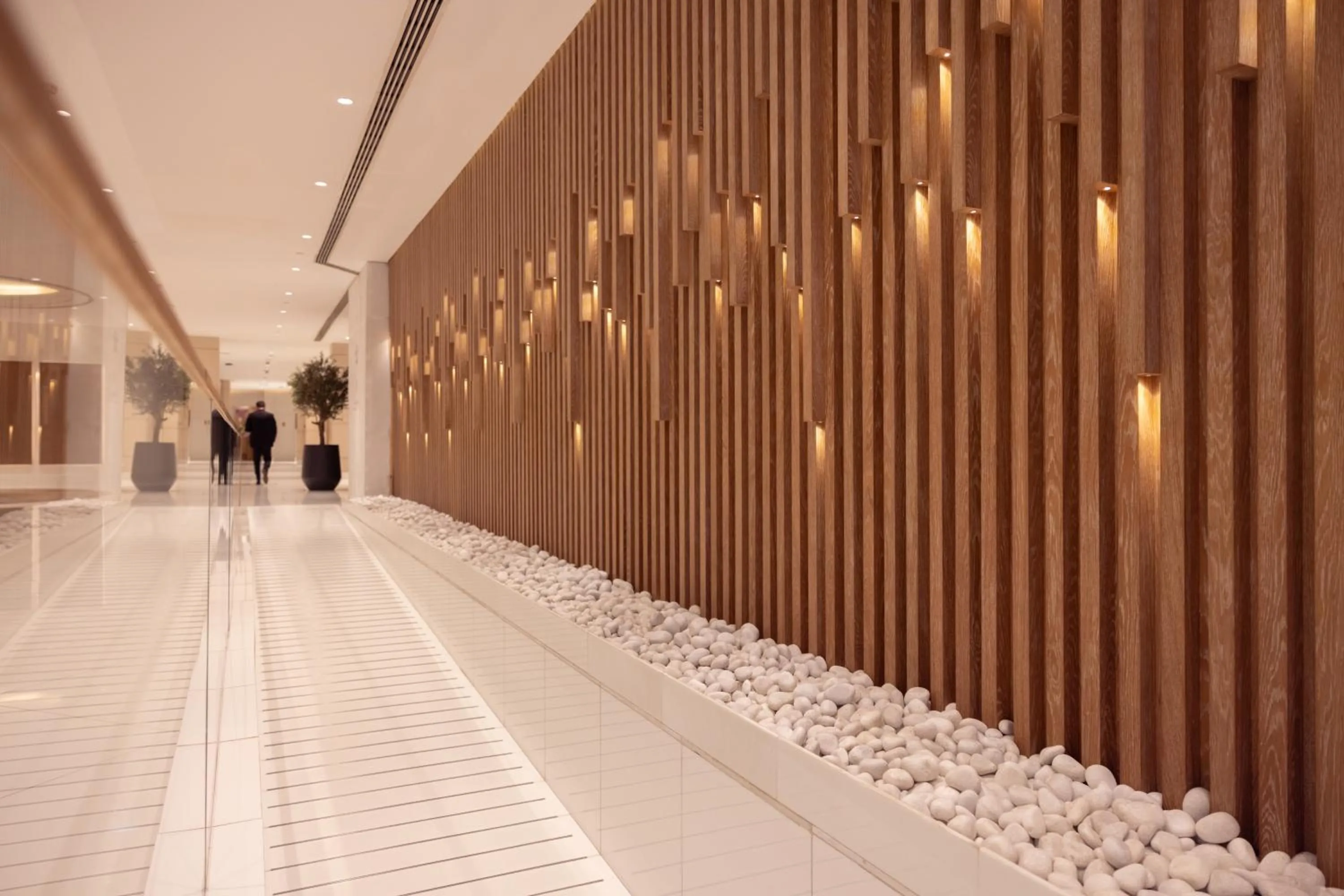 Area and facilities in Fairmont Dubai