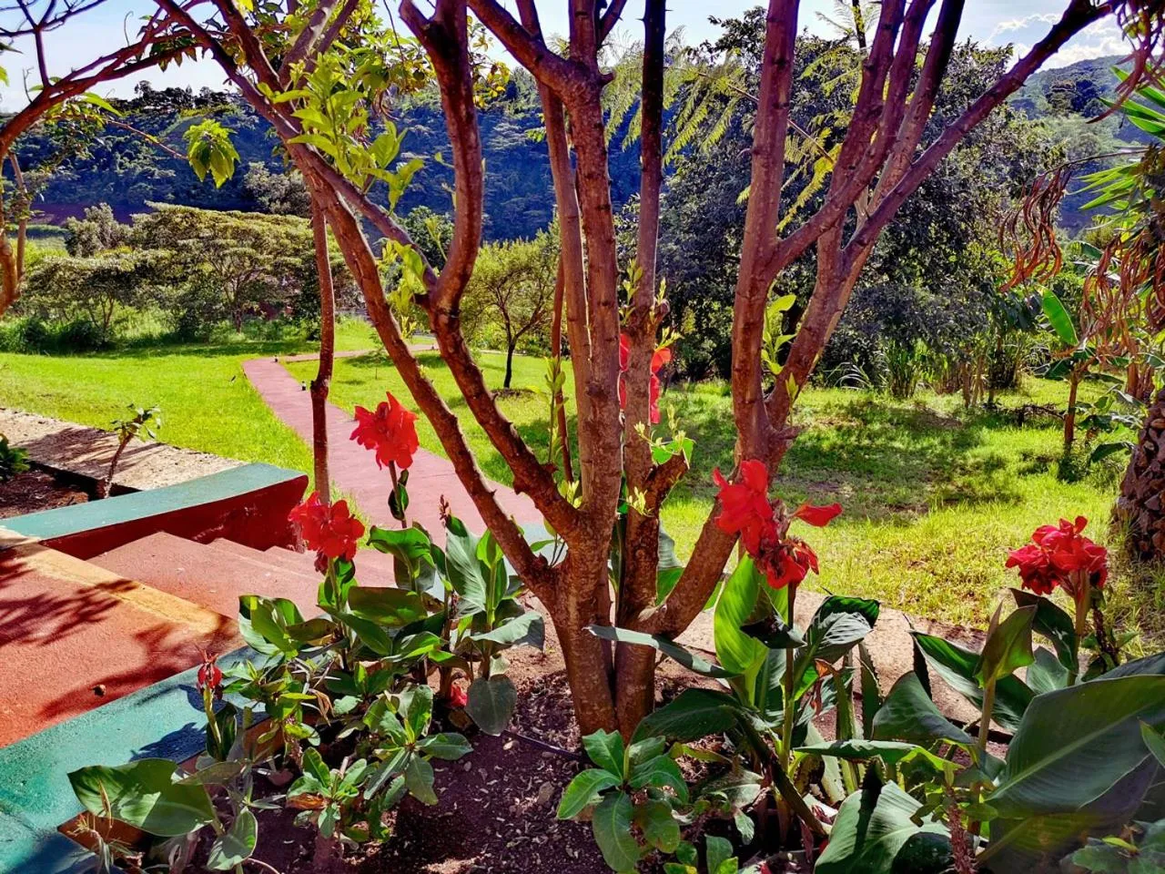 Garden in Ngorongoro Marera Mountain View Lodge