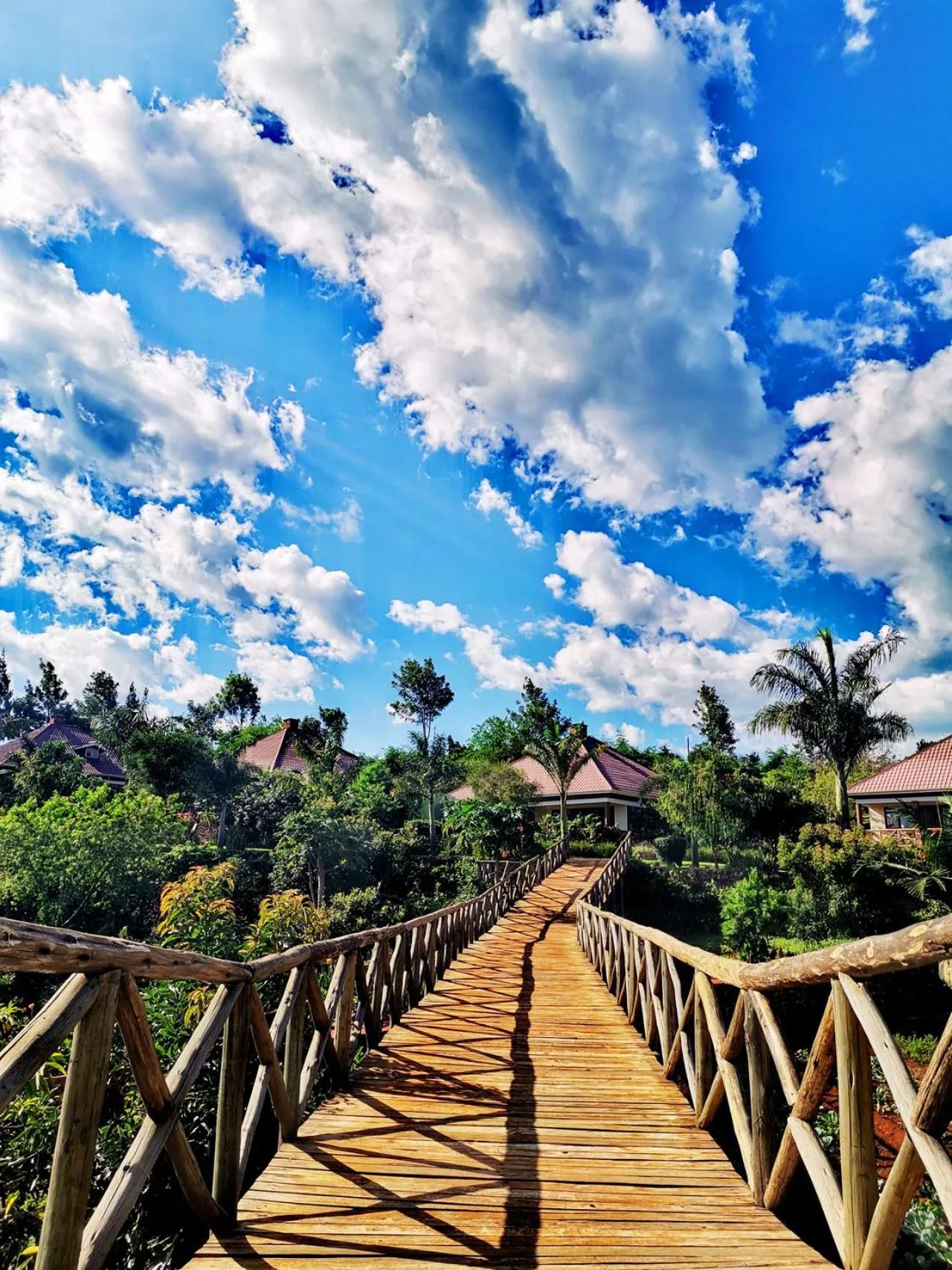Natural landscape in Ngorongoro Marera Mountain View Lodge