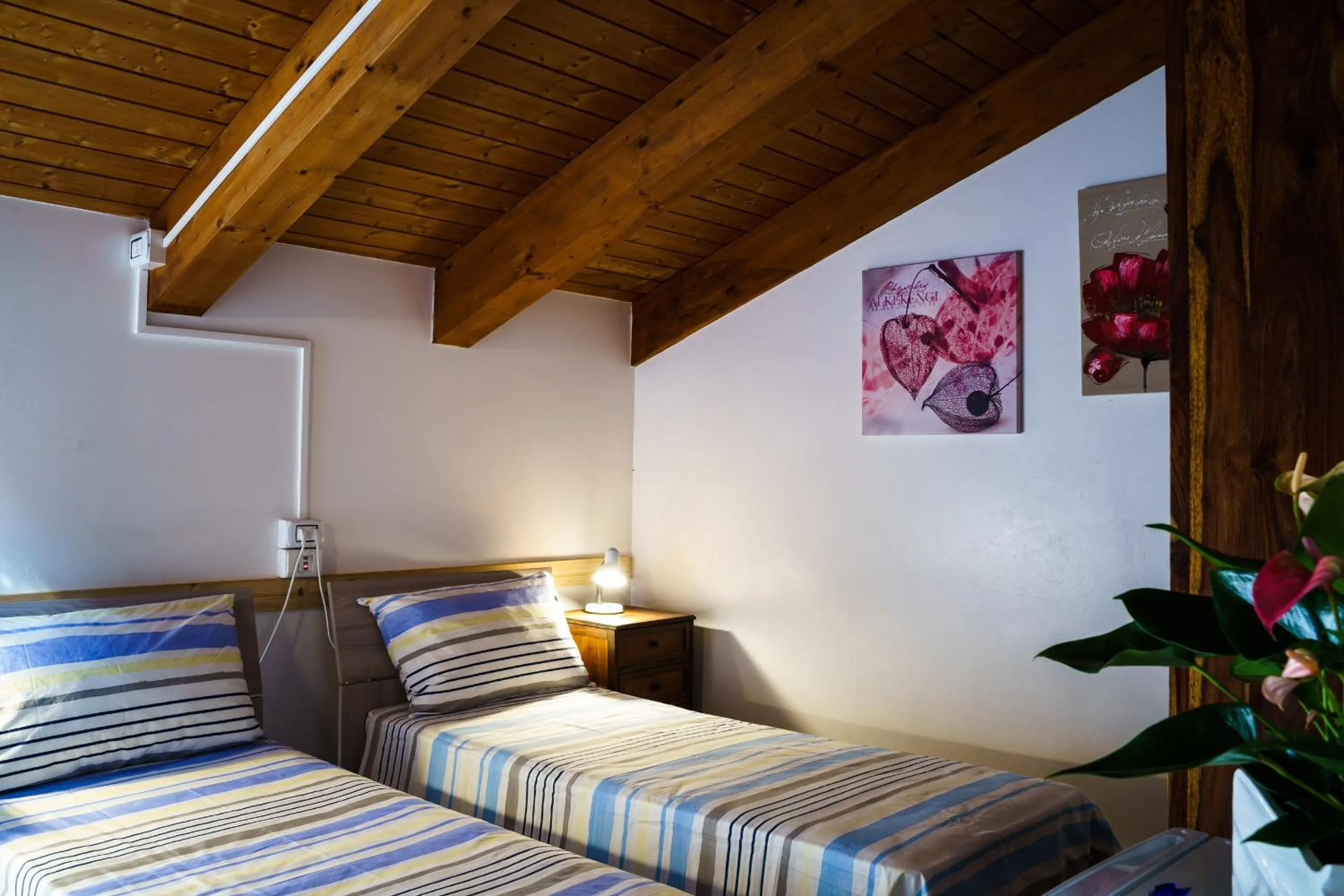 Bed in Sansi´s Sapri Camere