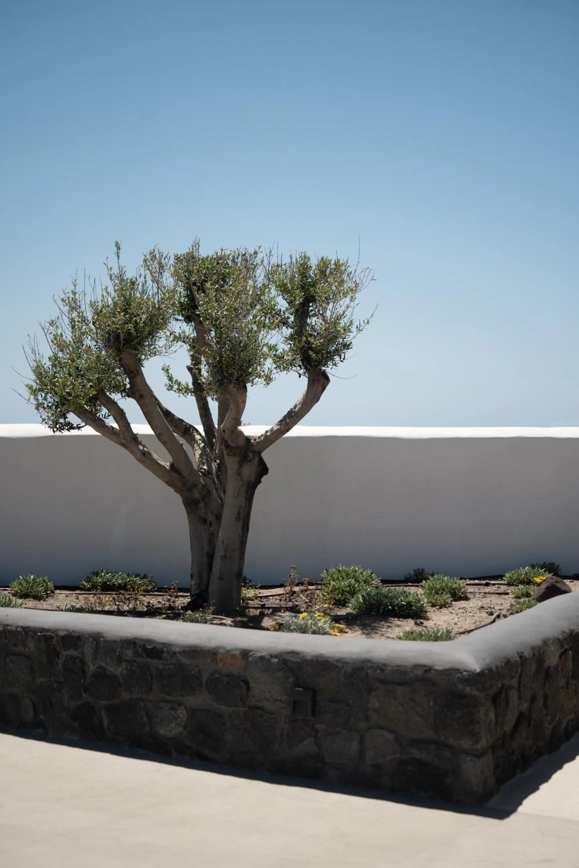 Balcony/Terrace in La Ponta Villas & Suites