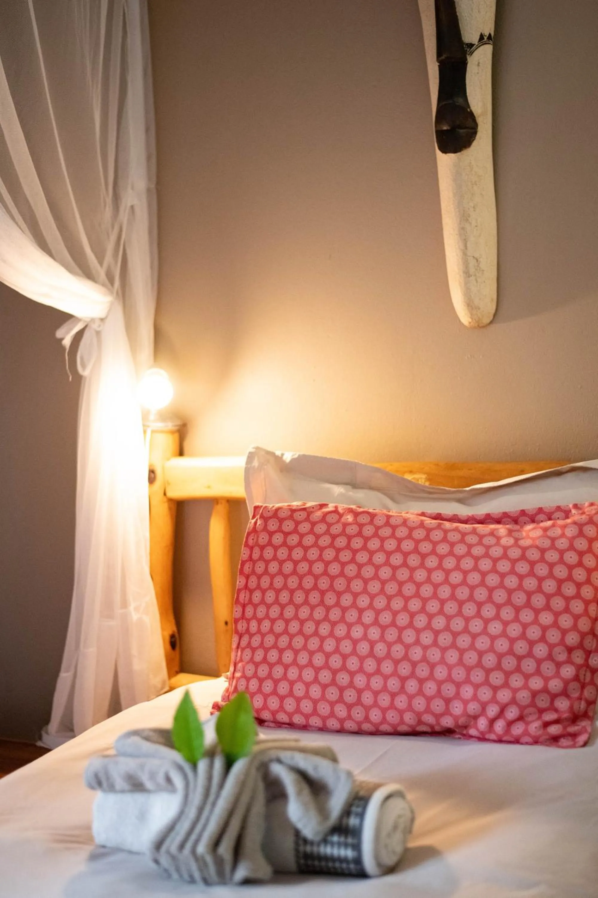 Standard Single Room in Thornhill Safari Lodge