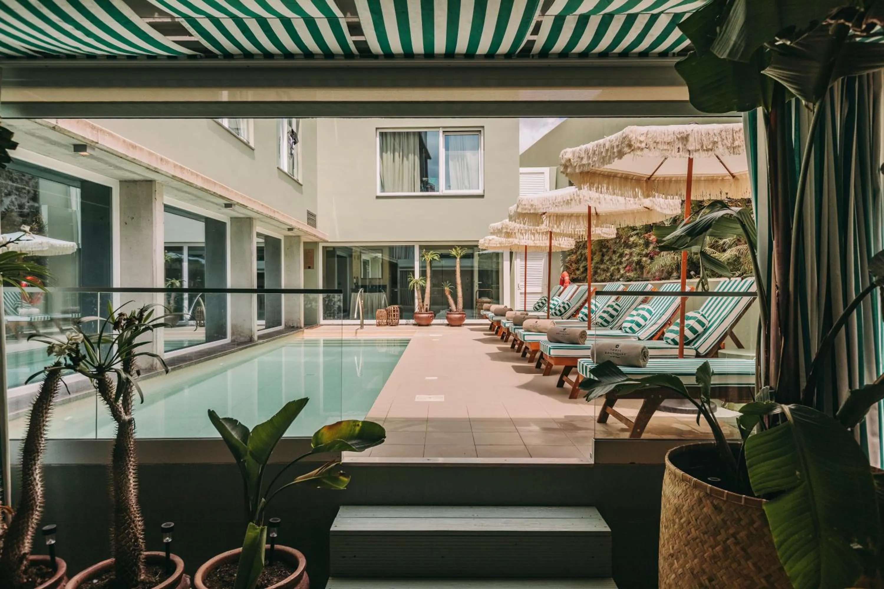 Swimming pool in Torel Terra Brava