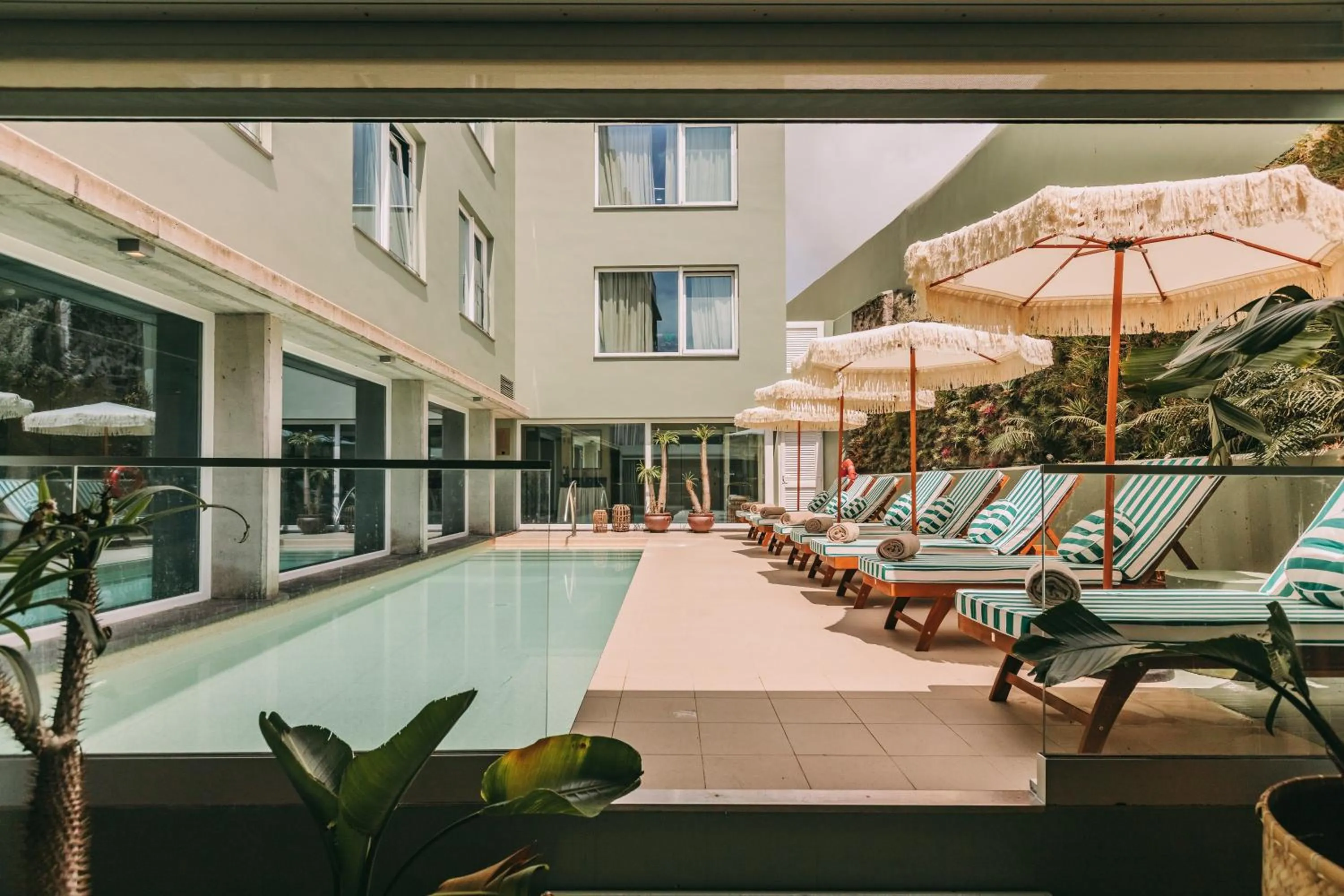 Swimming pool in Torel Terra Brava