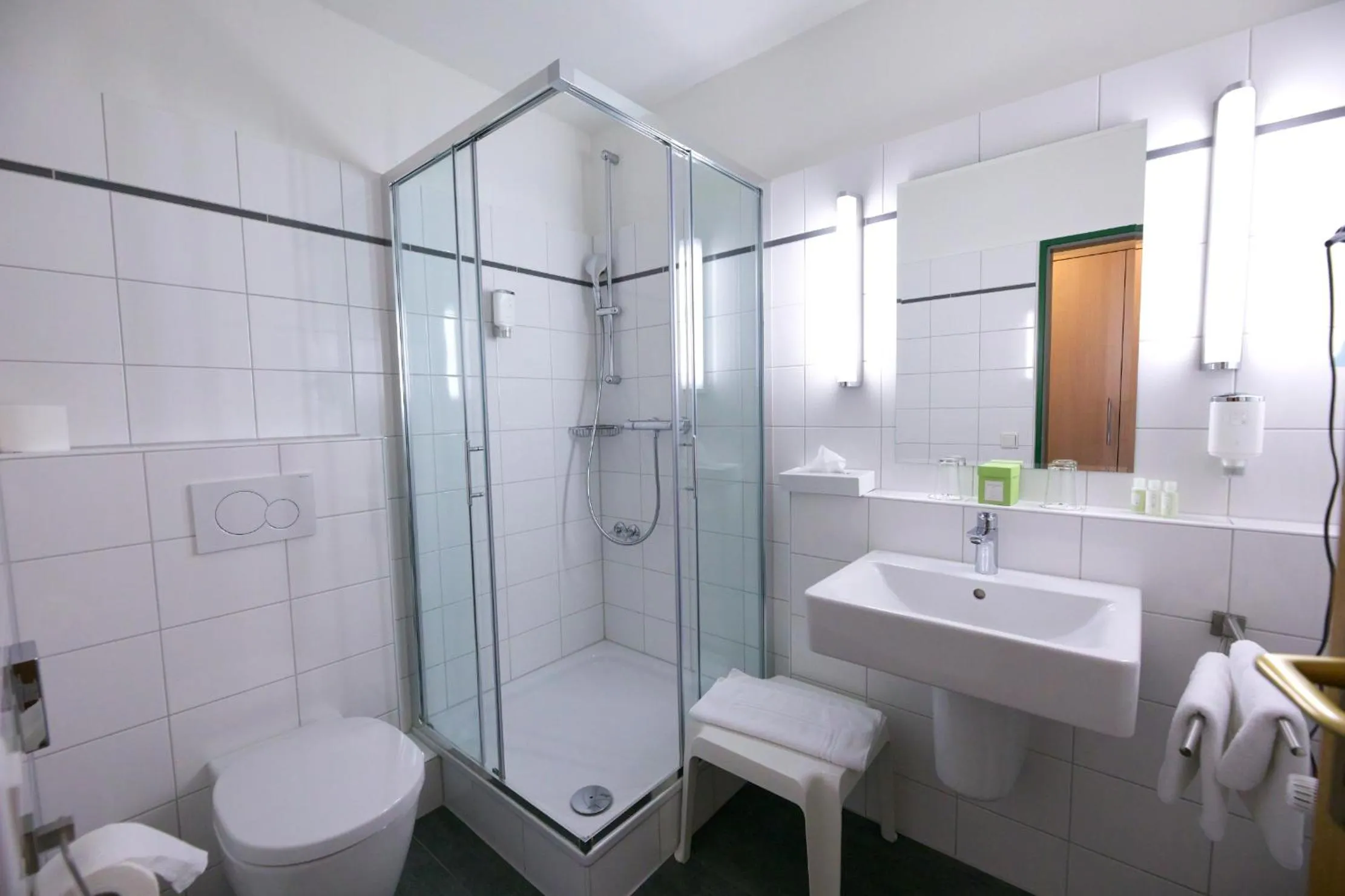 Toilet in Parkhotel Hammerberg