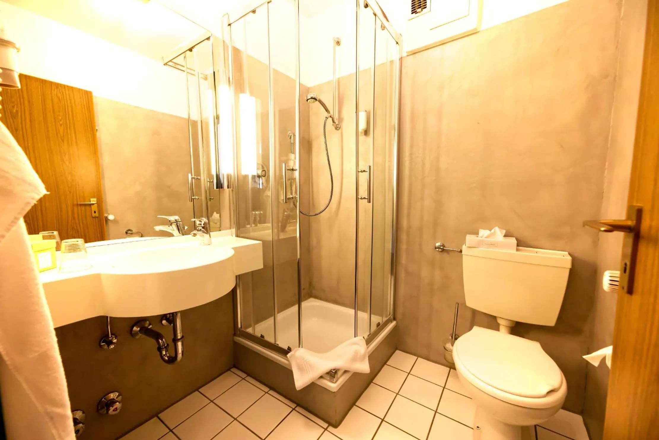 Toilet in Parkhotel Hammerberg