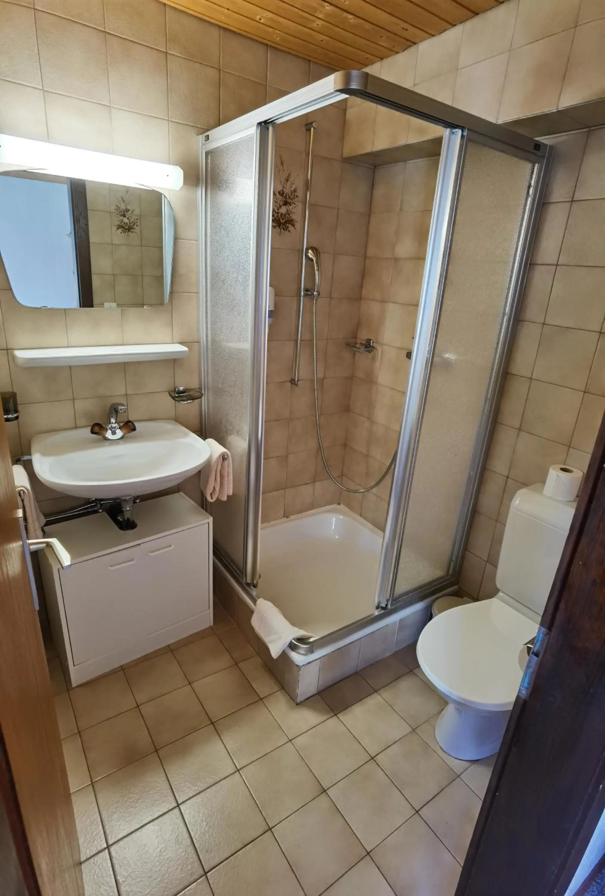 Shower in Auberge la Tzoumaz