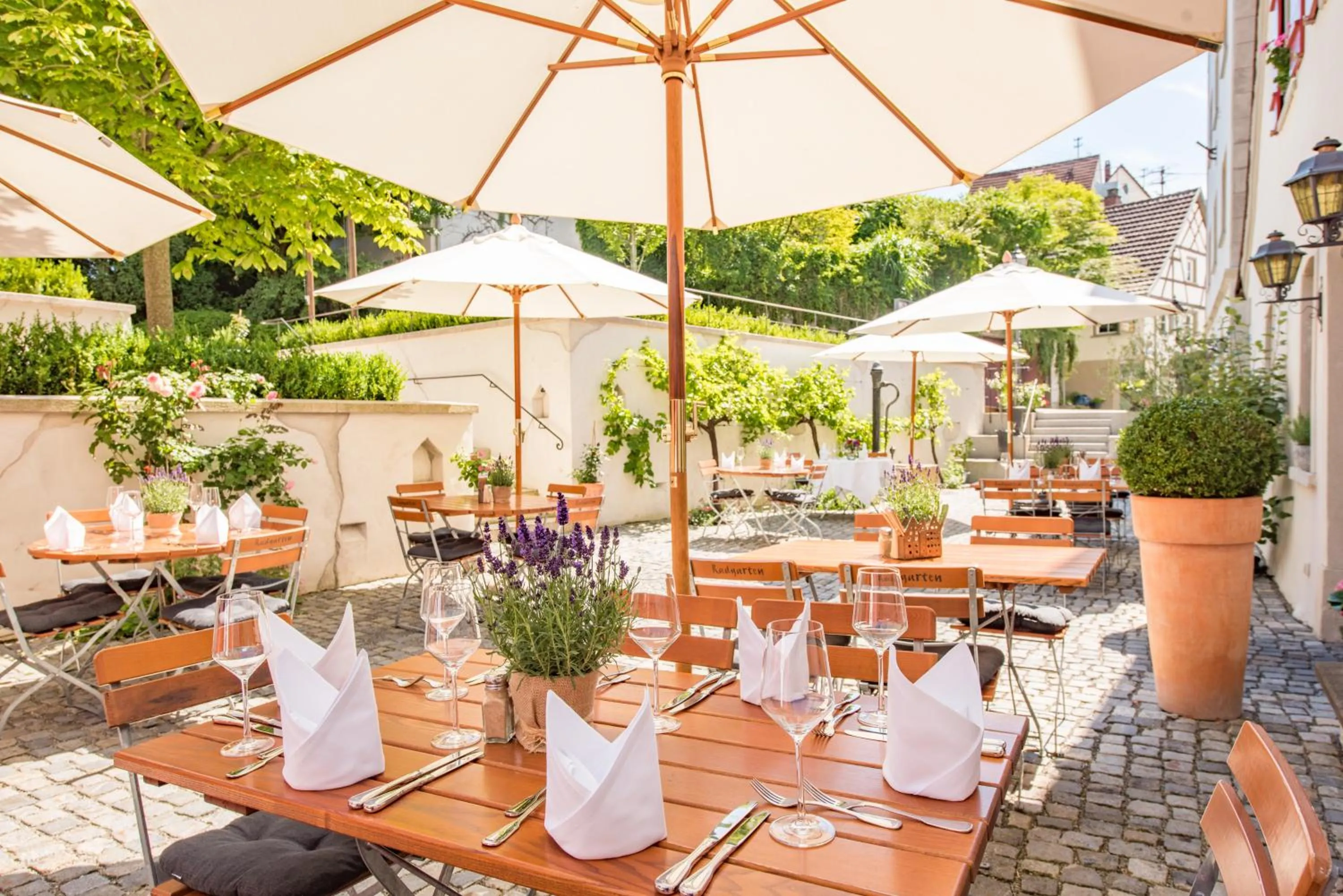 Restaurant/places to eat in Hotel Arthus