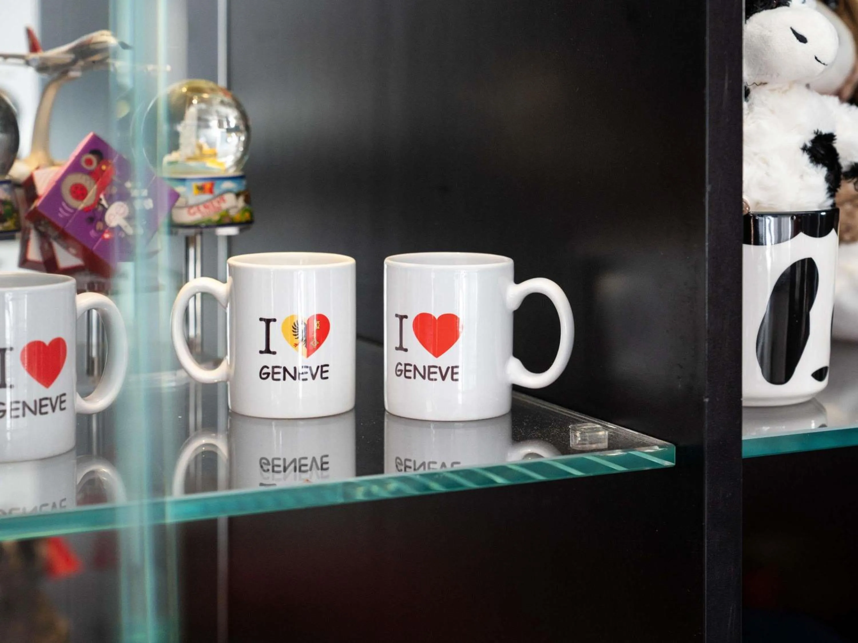 Other in Novotel Suites Genève Aéroport