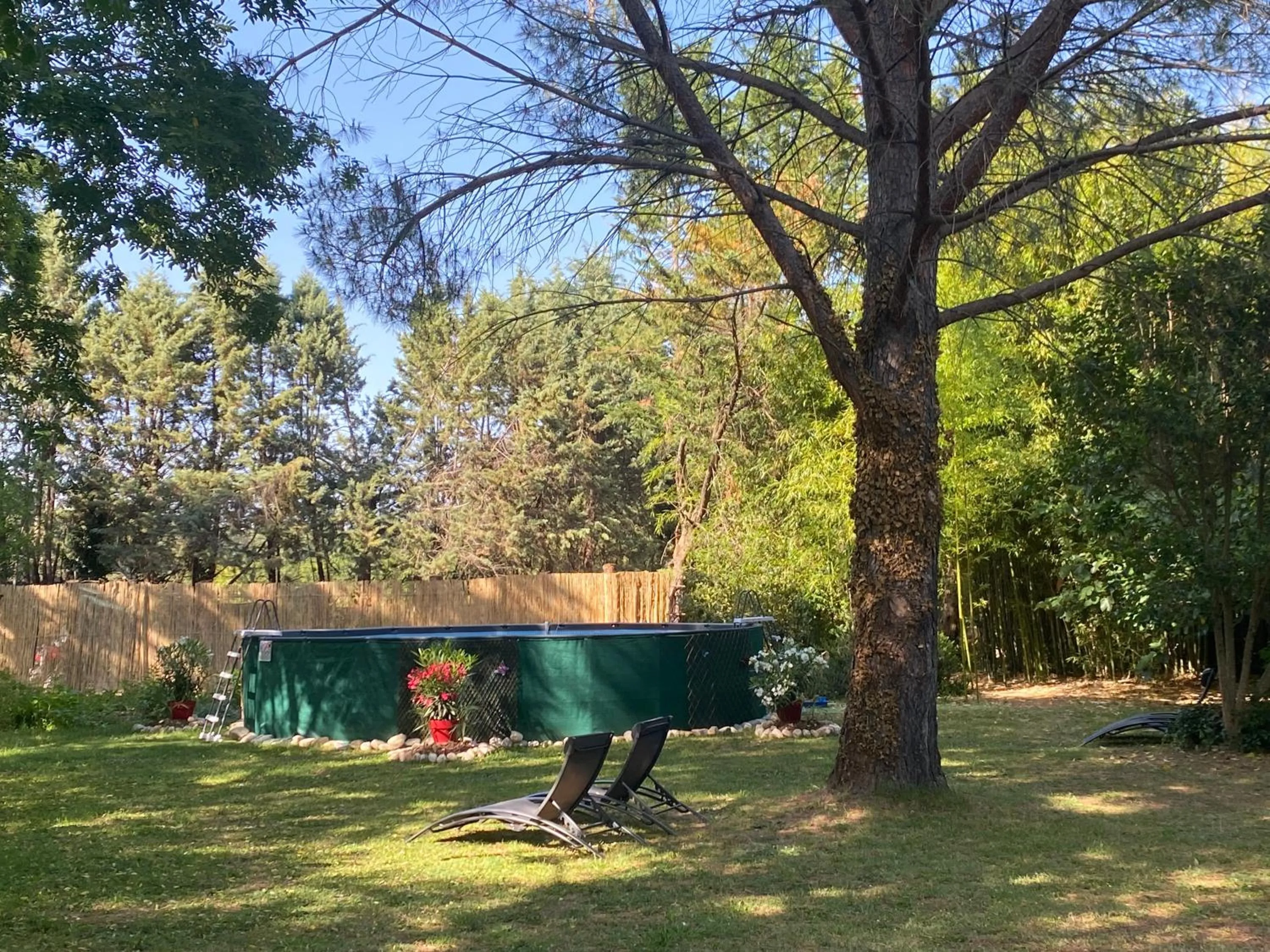 Garden in Orangerie de Cardet - Maison d'hôtes - B&B