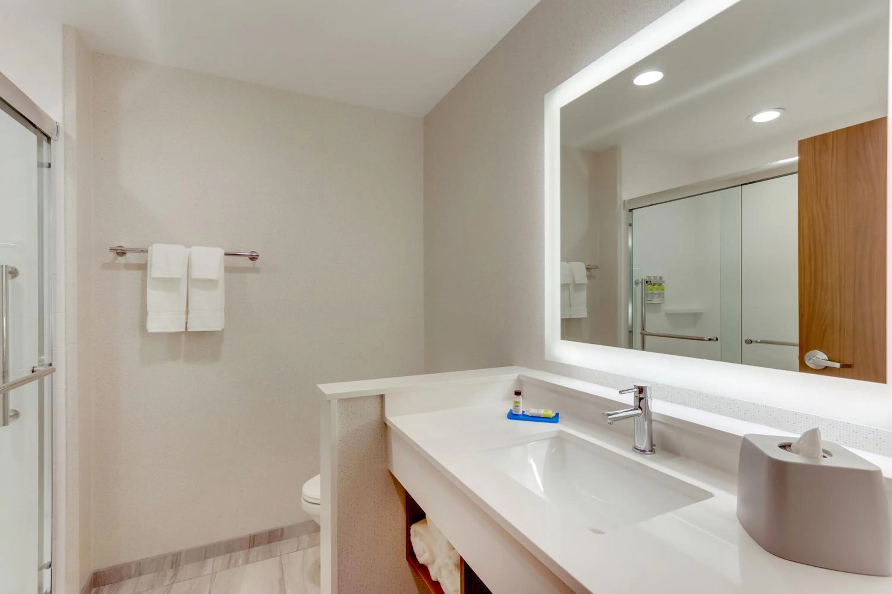 Bathroom in Holiday Inn Express & Suites - Winston - Salem SW - Clemmons by IHG