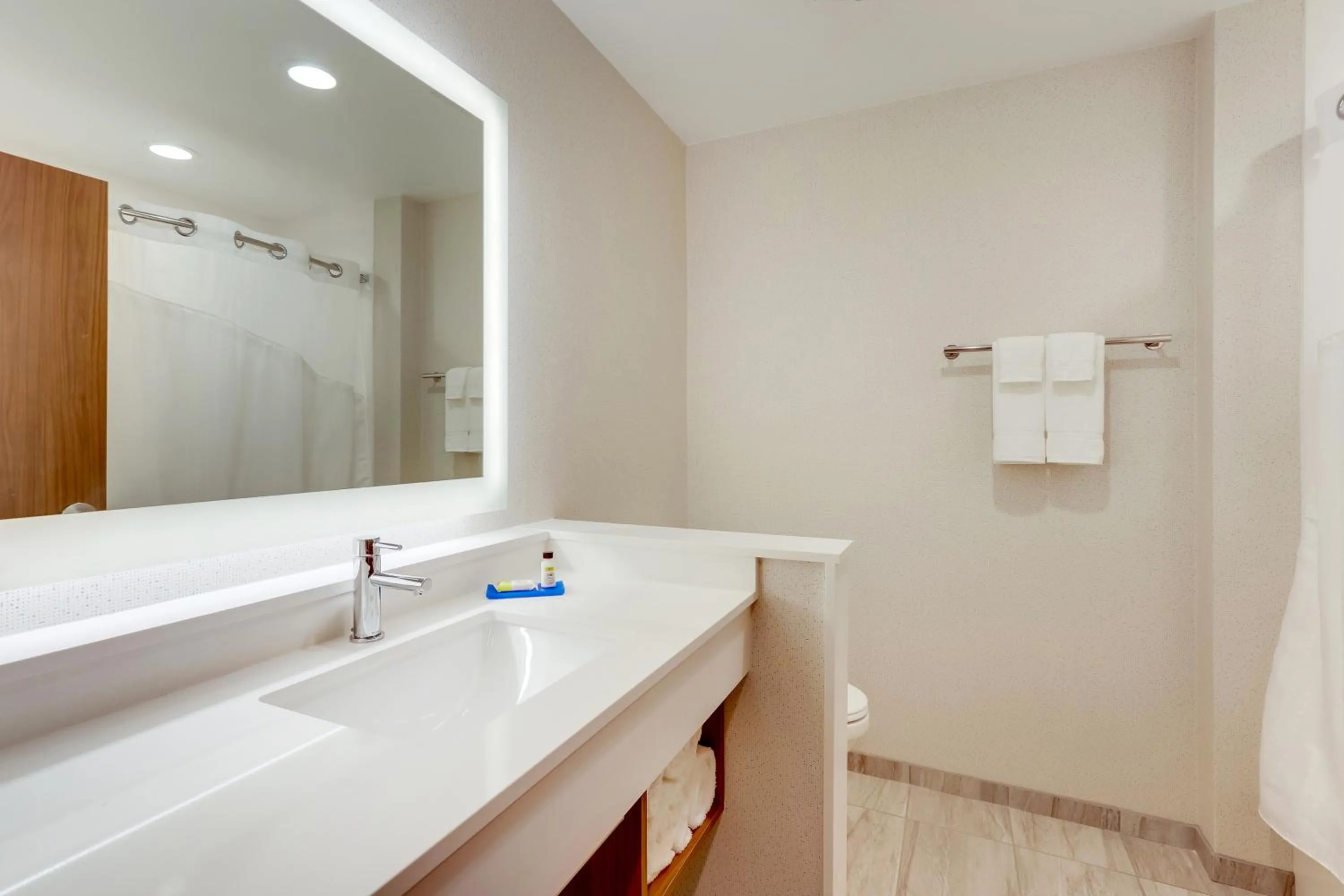 Bathroom in Holiday Inn Express & Suites - Winston - Salem SW - Clemmons by IHG