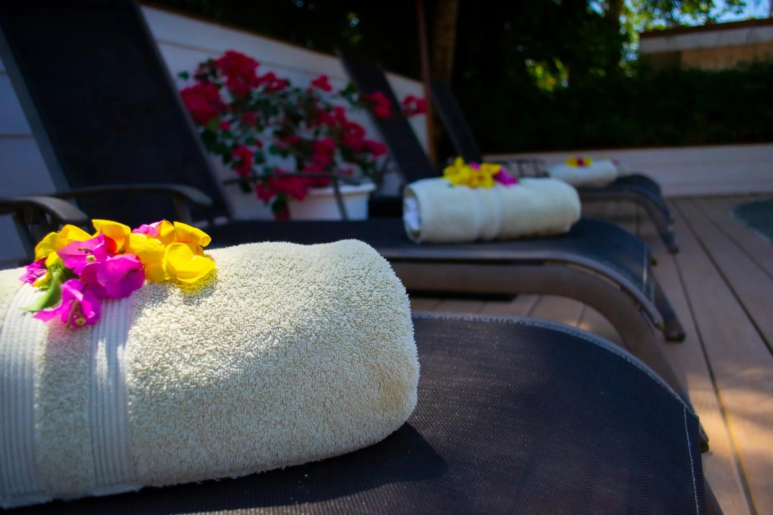 Day in Hotel Villabosque Eco Boutique