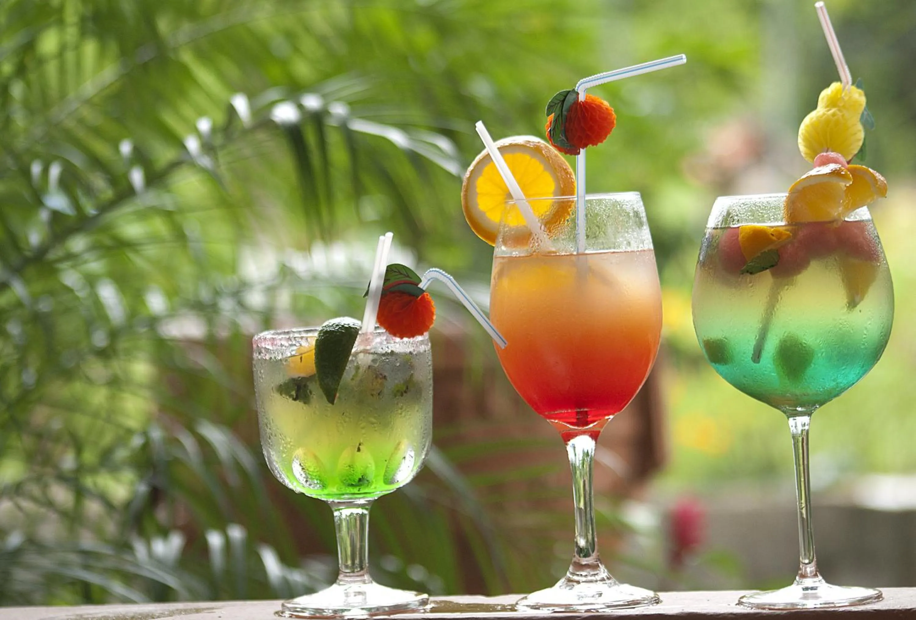 Restaurant/places to eat in Hotel Villabosque Eco Boutique