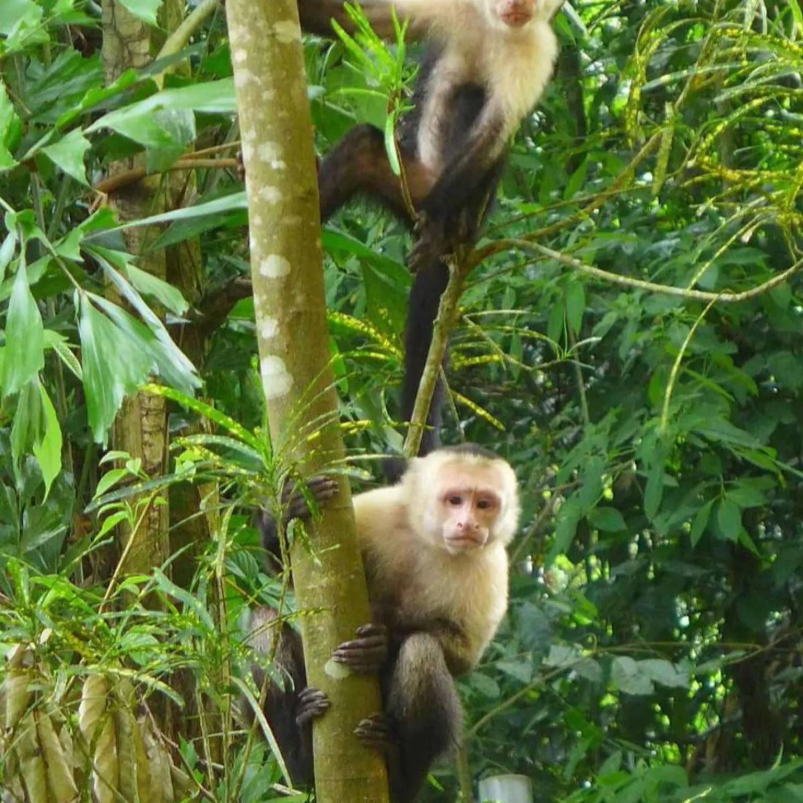 Natural landscape in Hotel Villabosque Eco Boutique