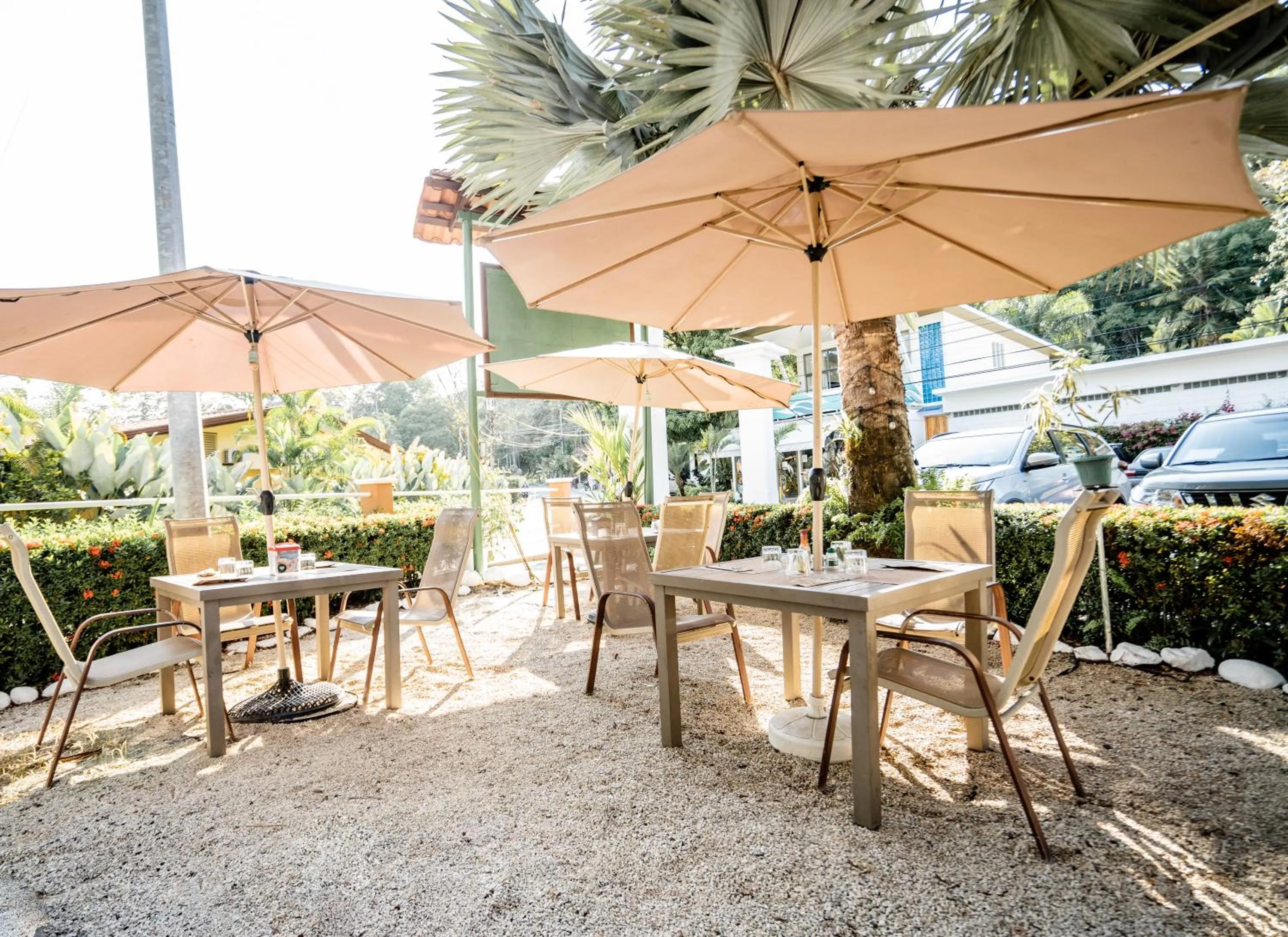 Restaurant/places to eat in Hotel Villabosque Eco Boutique