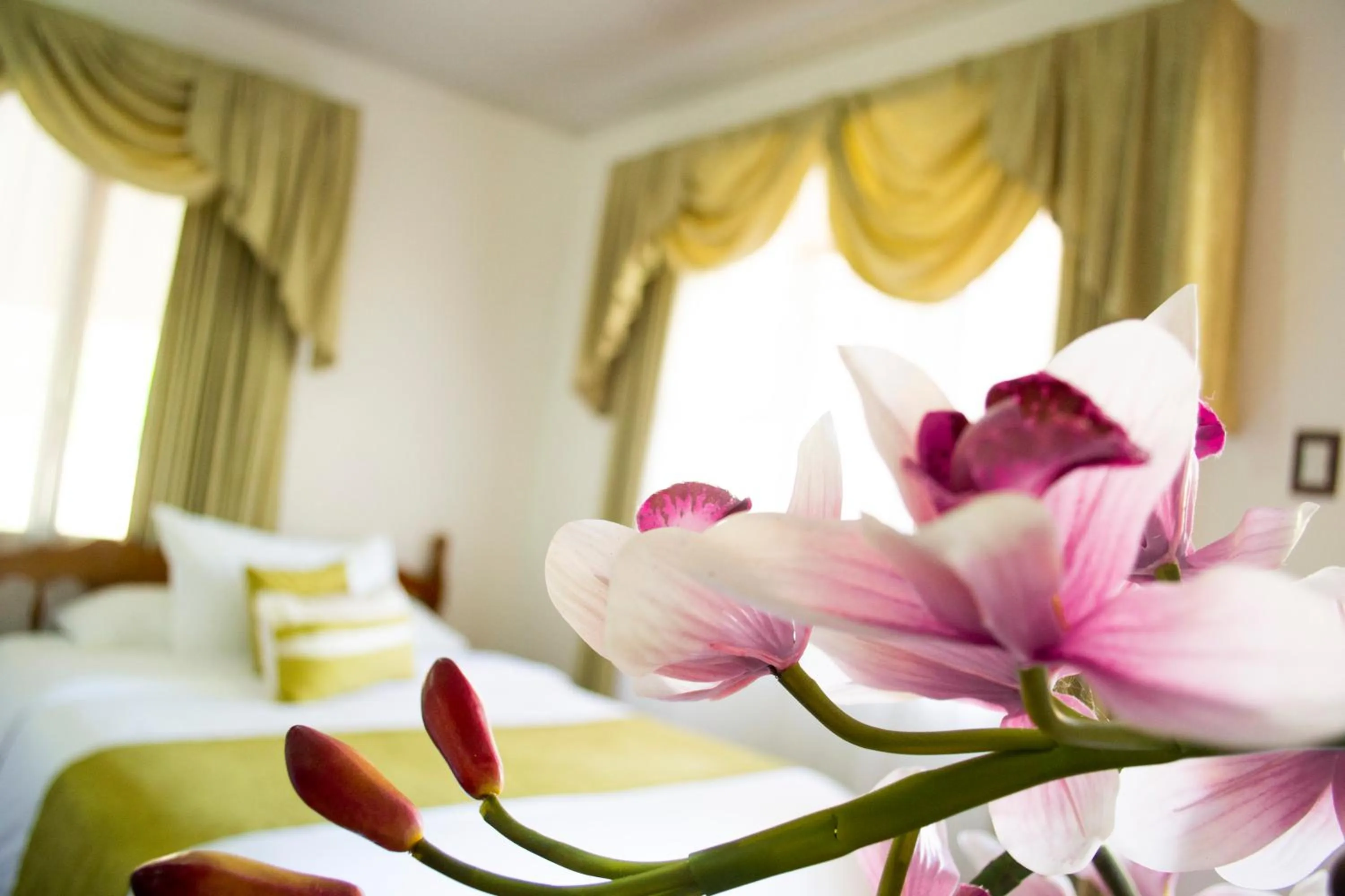 Photo of the whole room, Bed in Hotel Villabosque Eco Boutique