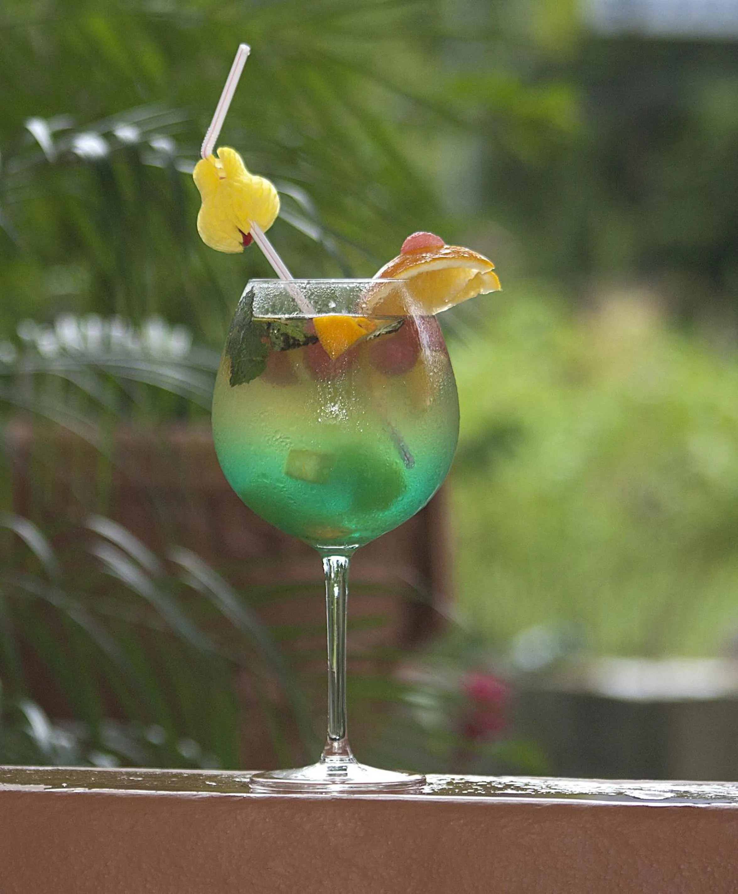 Restaurant/places to eat in Hotel Villabosque Eco Boutique