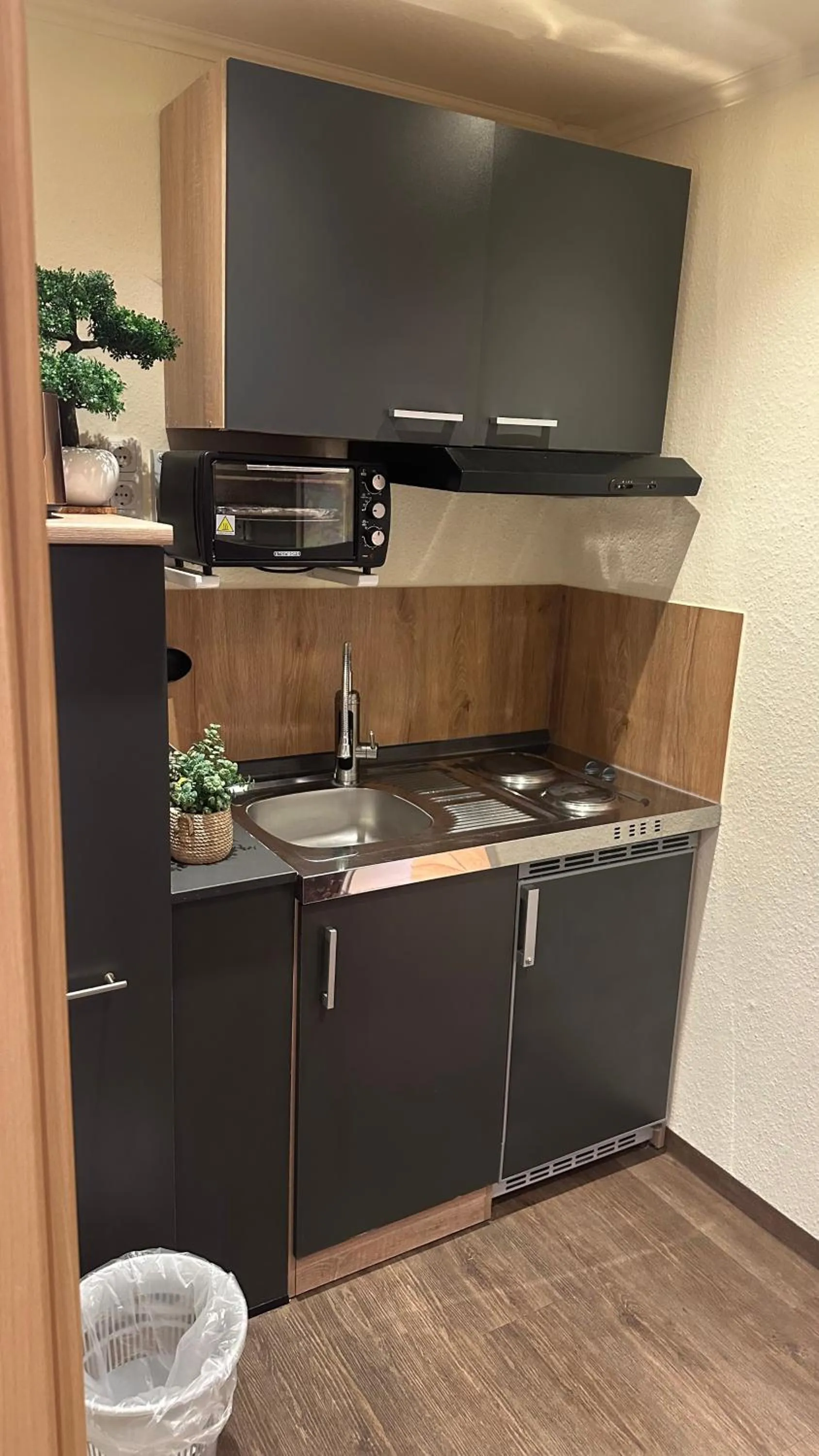 Kitchen or kitchenette in Hotel Falk