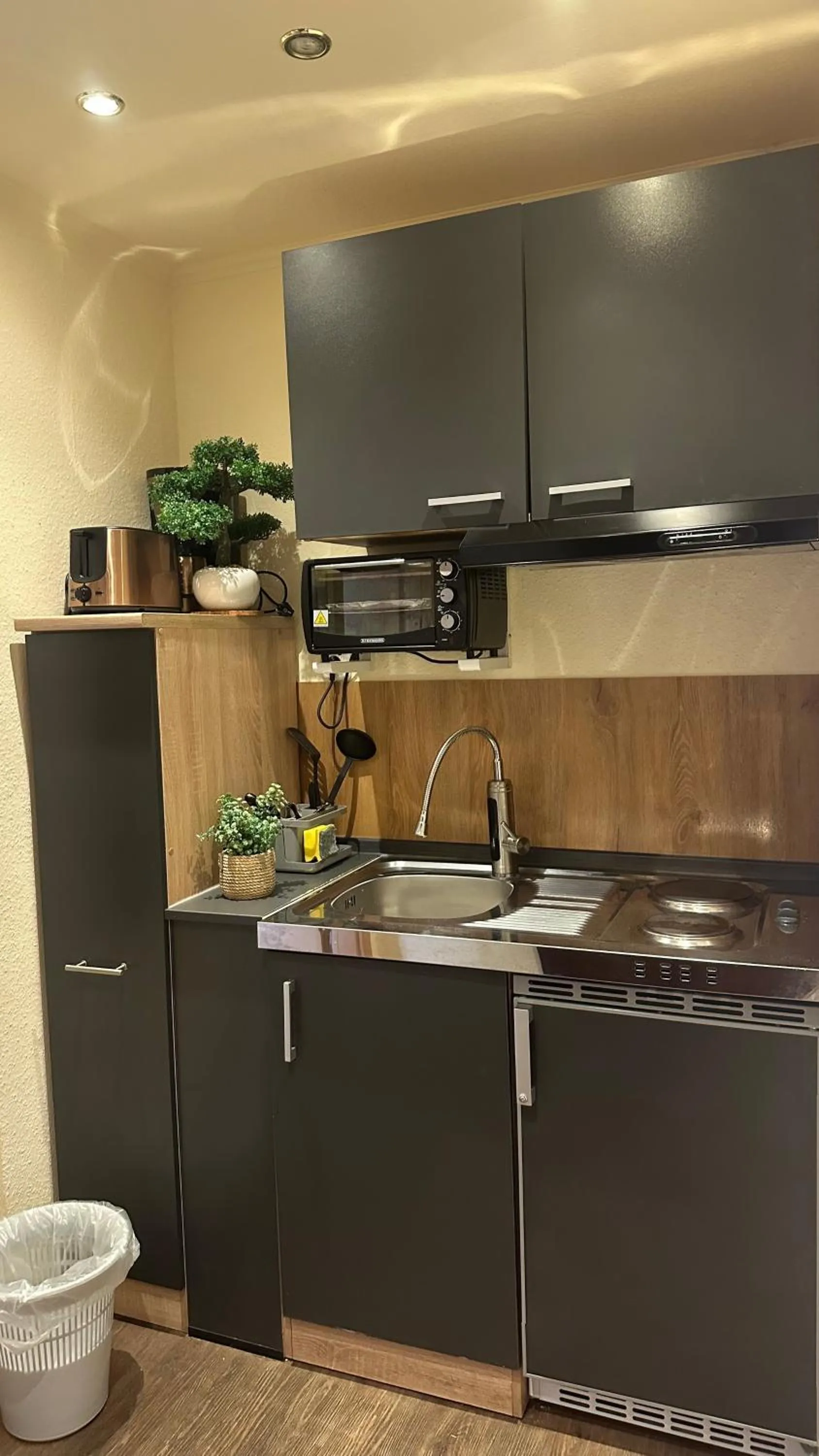 Kitchen or kitchenette in Hotel Falk