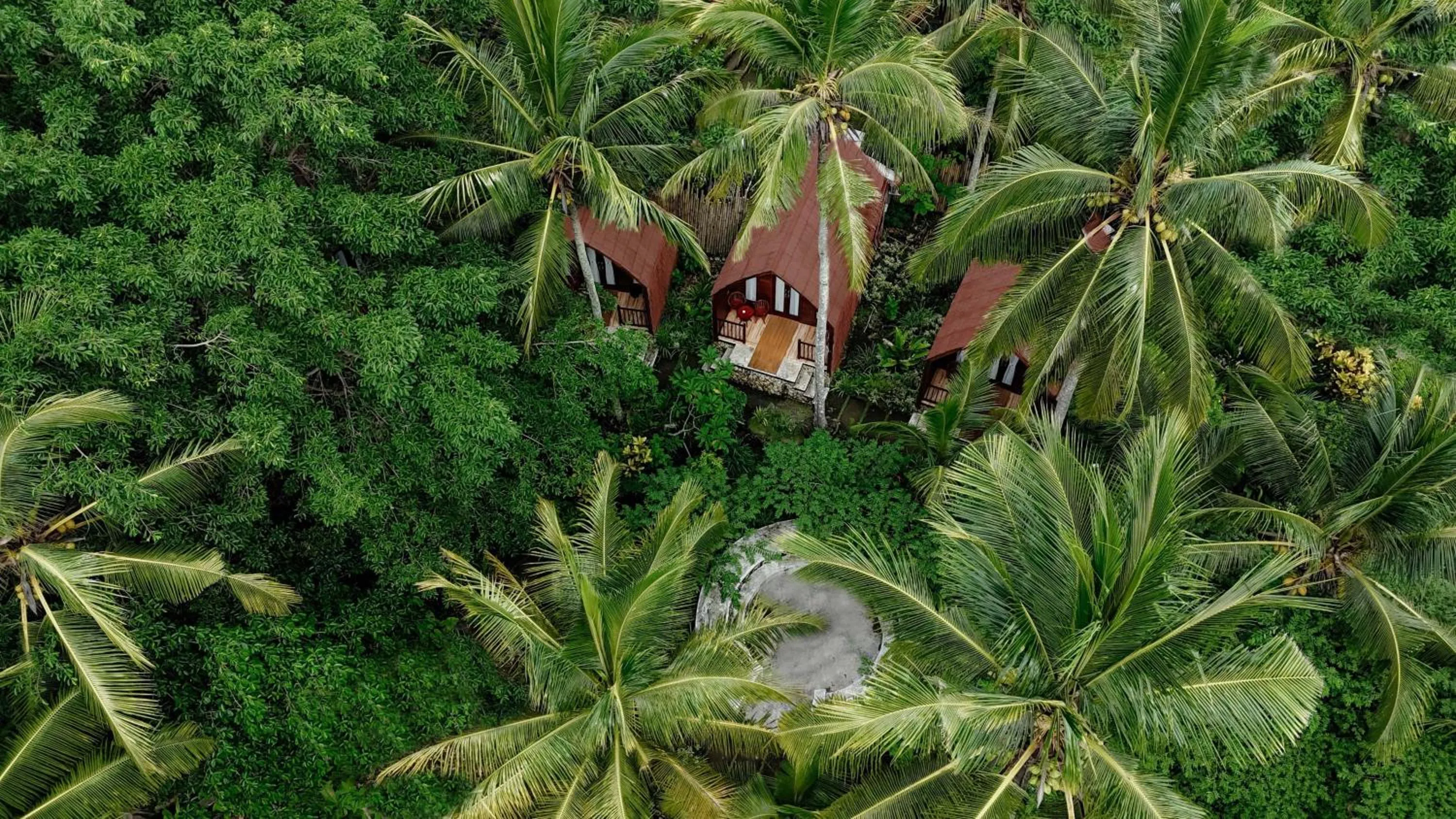 Day in Bila Penida Resort & Farm