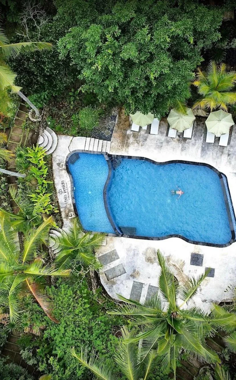 Swimming pool in Bila Penida Resort & Farm