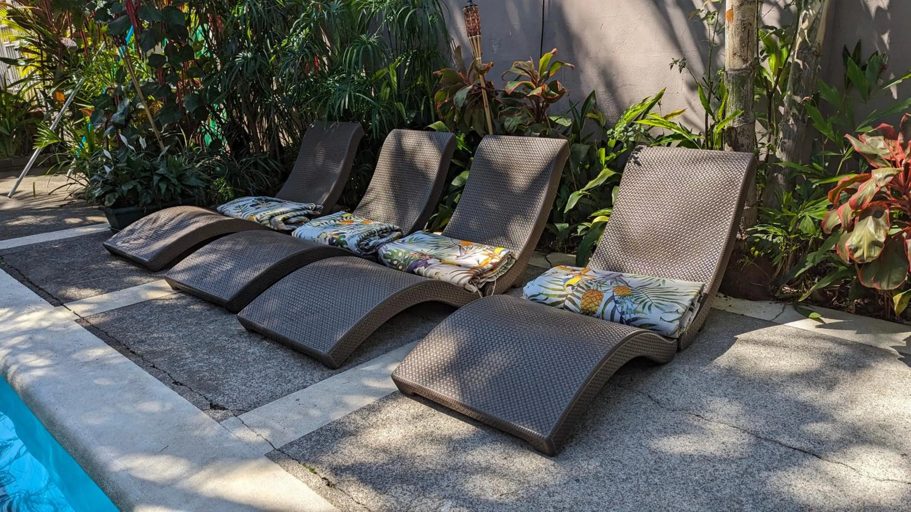 sunbed in Colours Oasis Resort ADULT ONLY