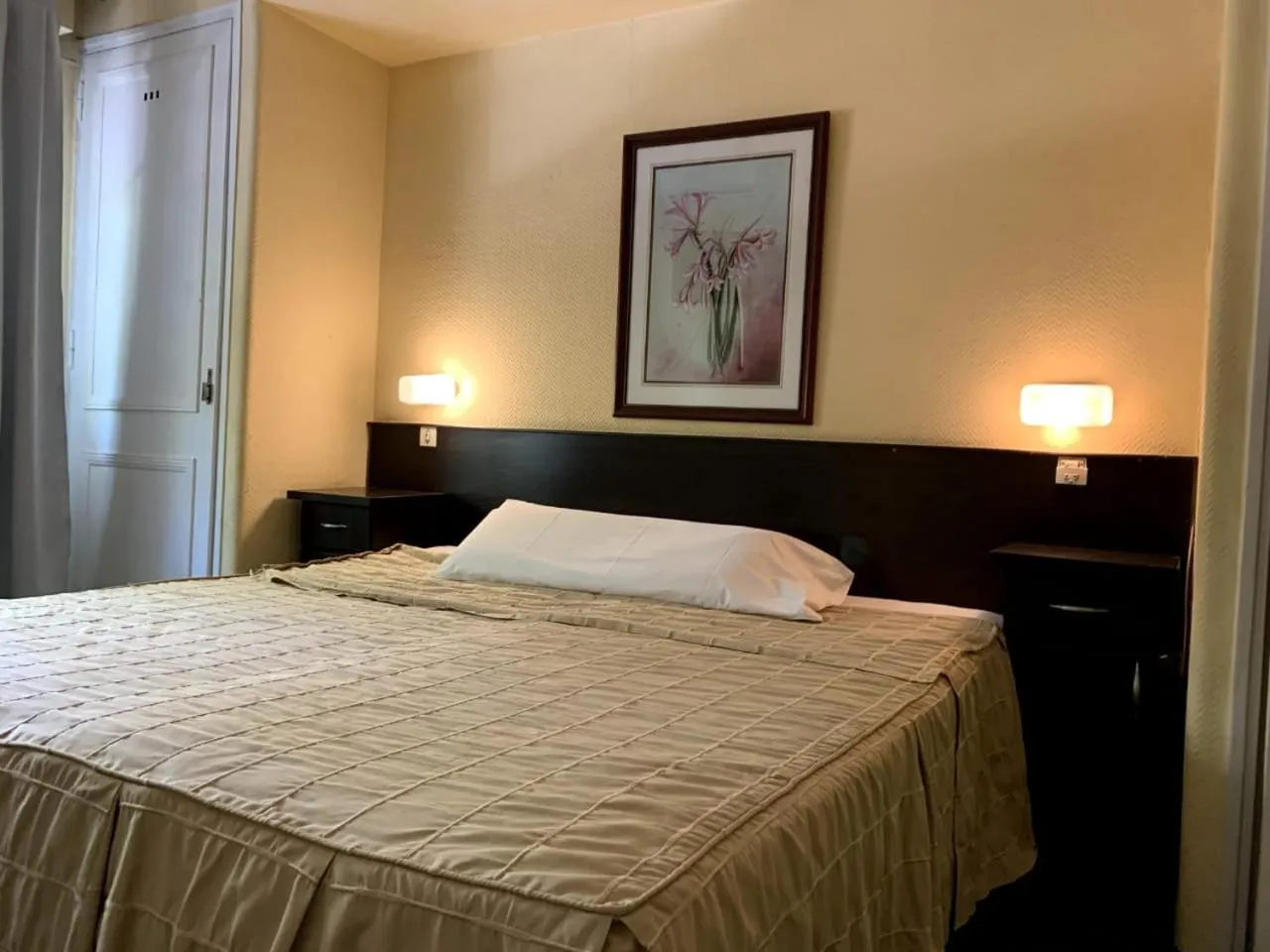 Bed in Palace Hotel Mendoza