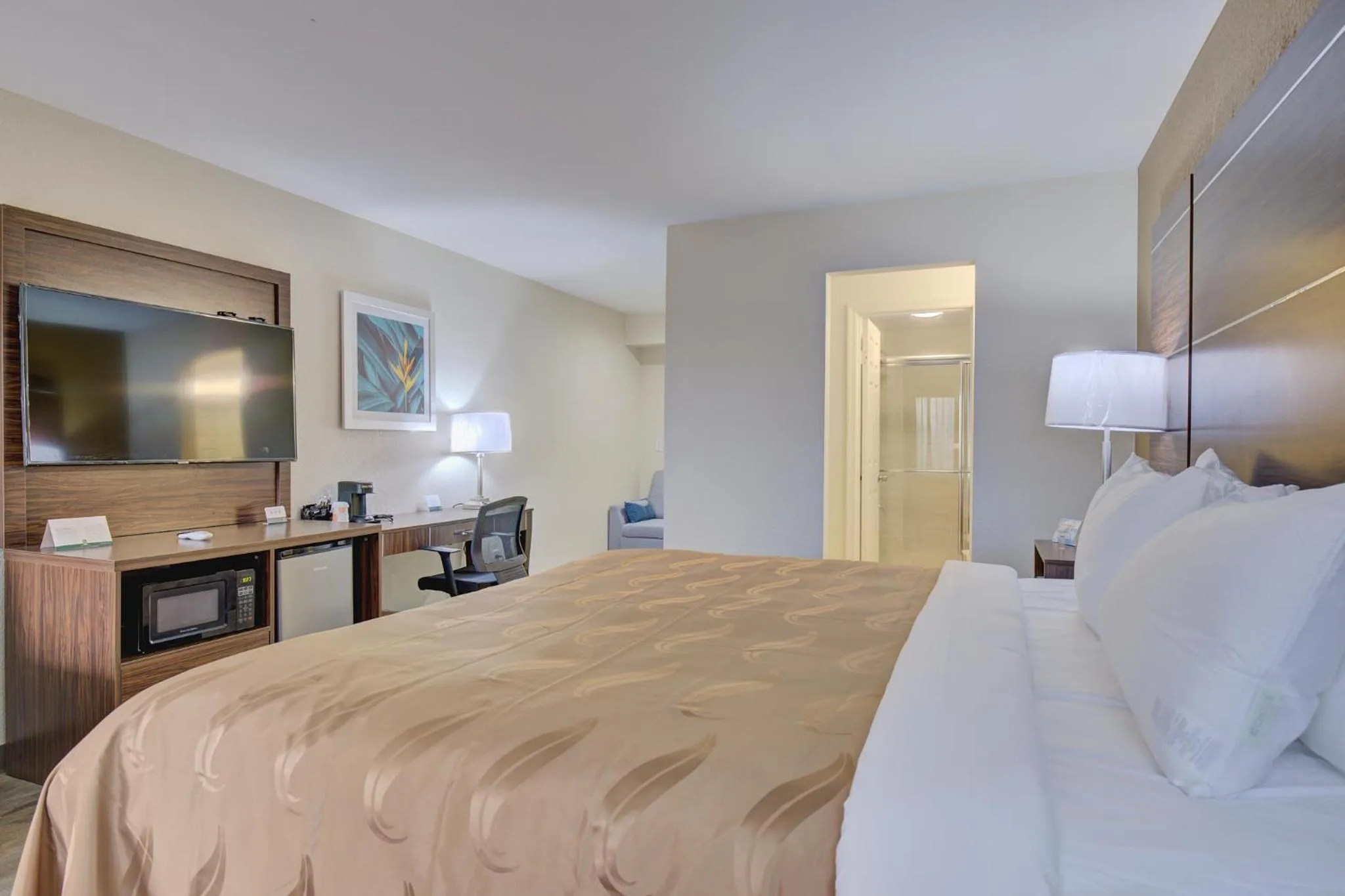 Bed in Quality Inn & Suites