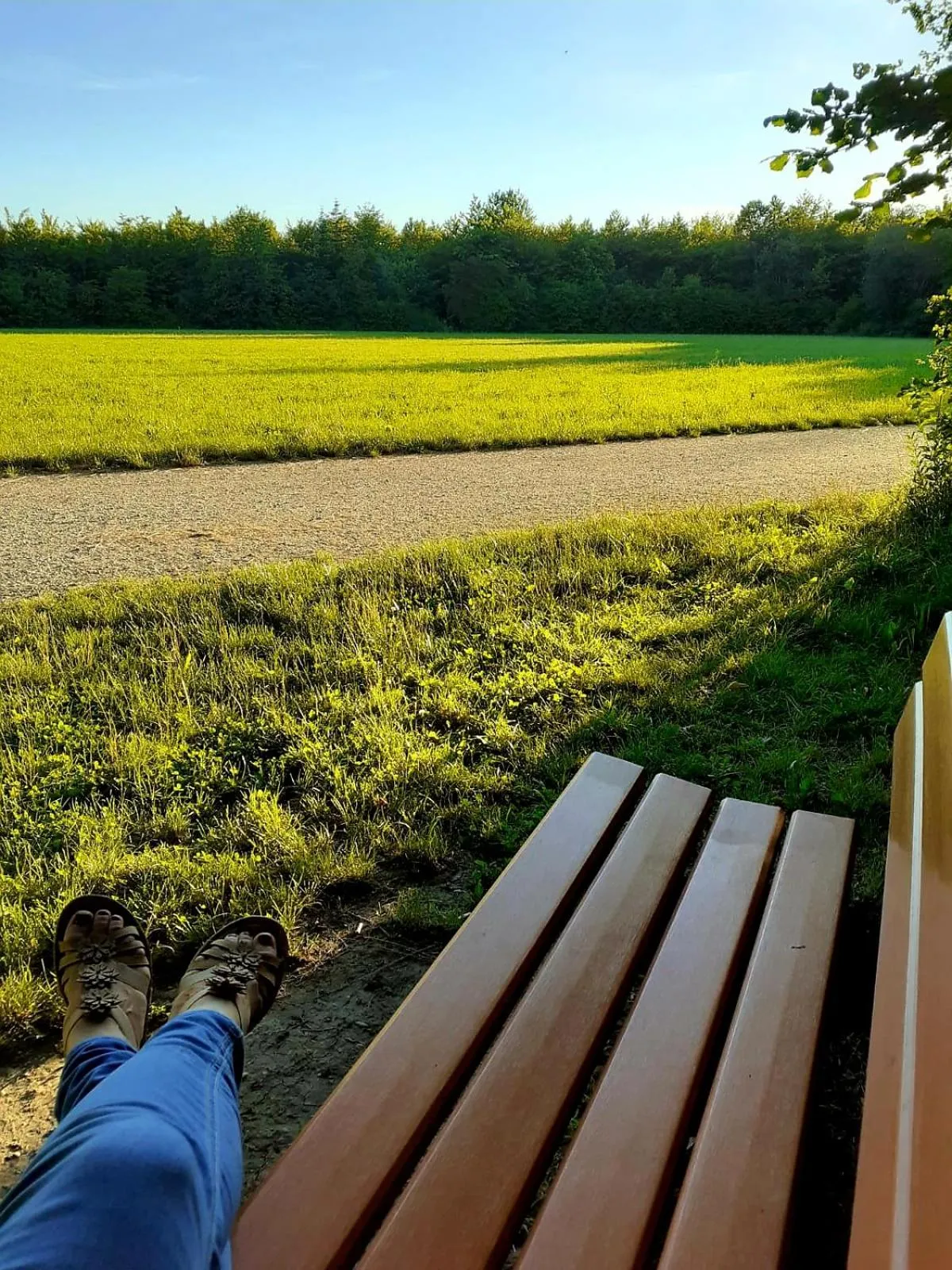 Hiking in Haidinger's Boutique Domizil