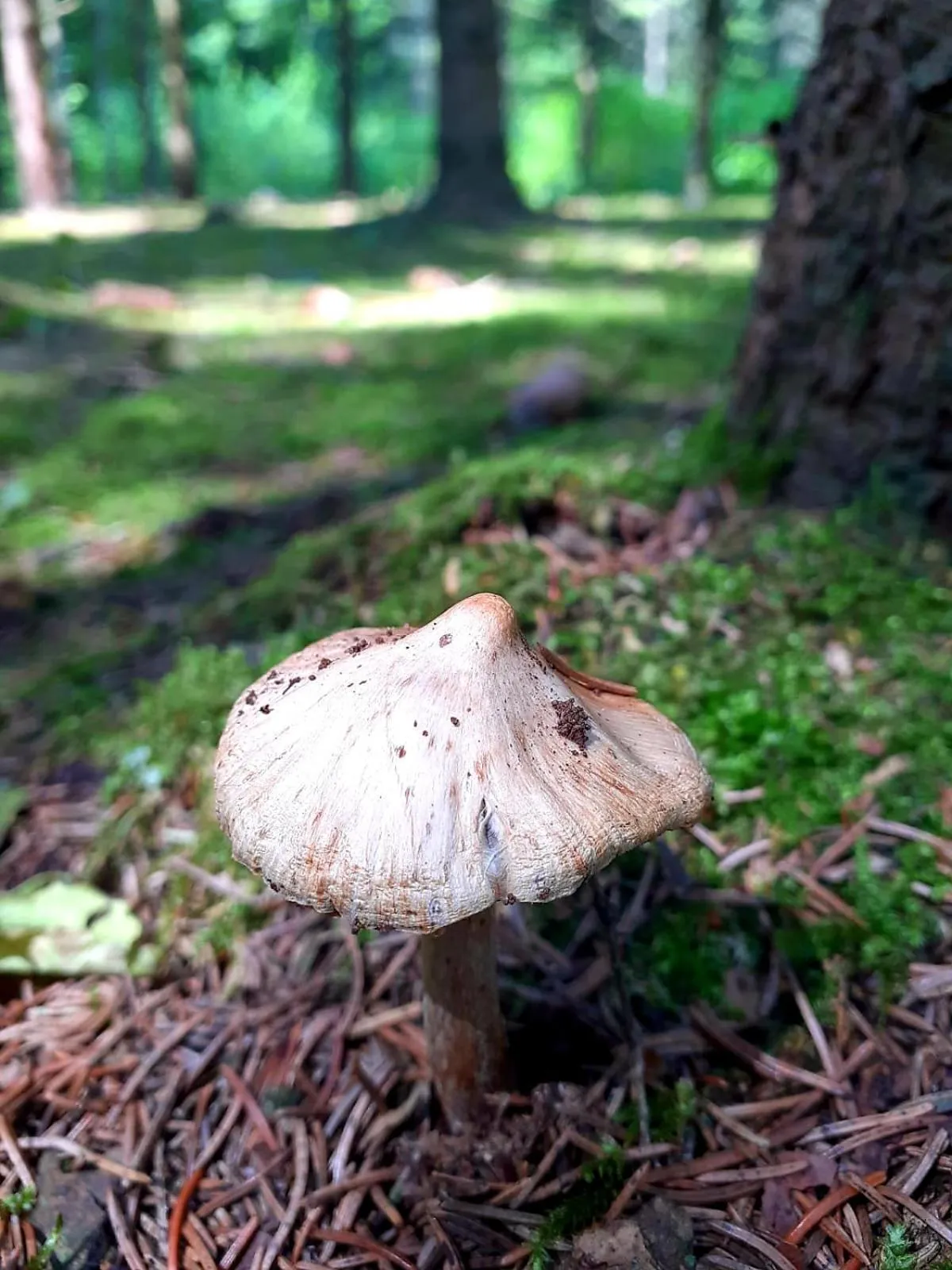 Hiking in Haidinger's Boutique Domizil